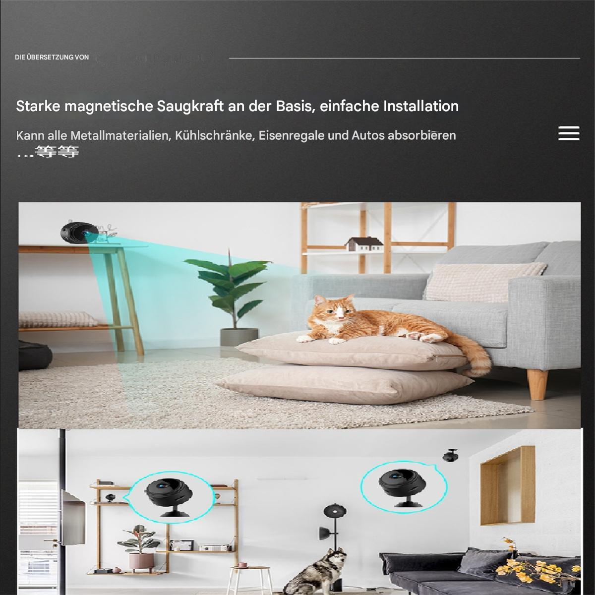 Eine Heimszene mit Katze, Hund, Couch und zwei Überwachungskameras.