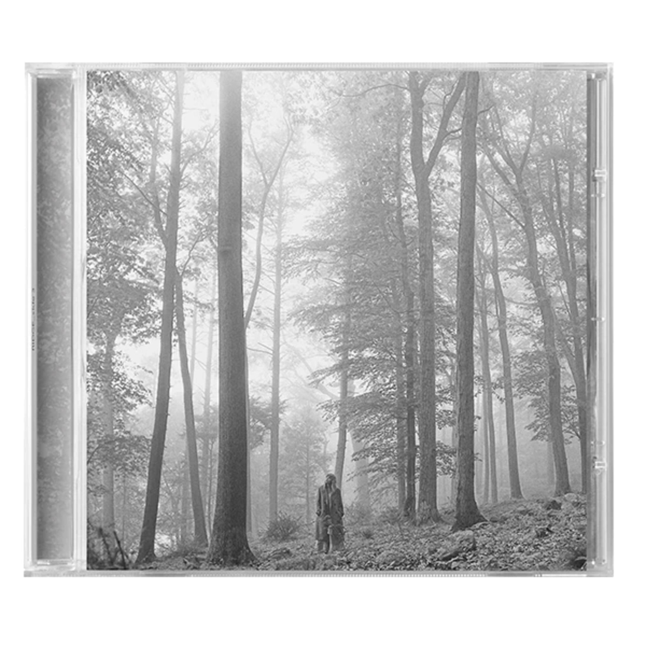 Custodia del CD in un ambiente forestale nebbioso. Una persona è in piedi in mezzo agli alberi. Bianco e nero.
