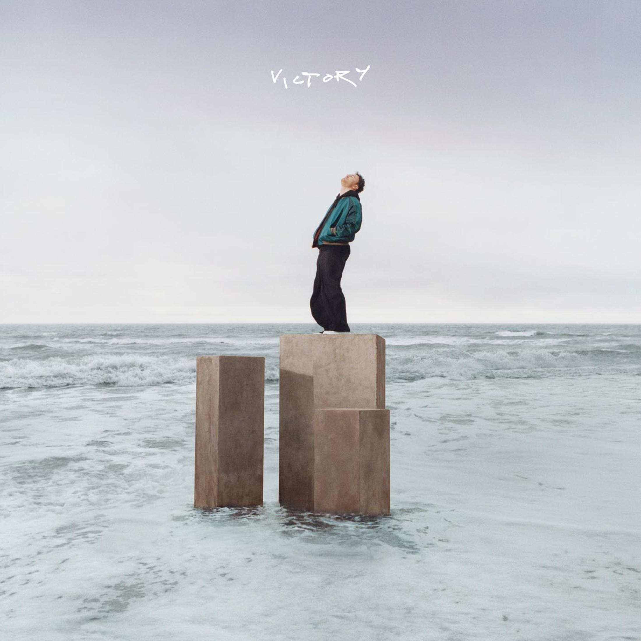A person standing on three blocks in the ocean, looking up. The word 'Victory' is above them.