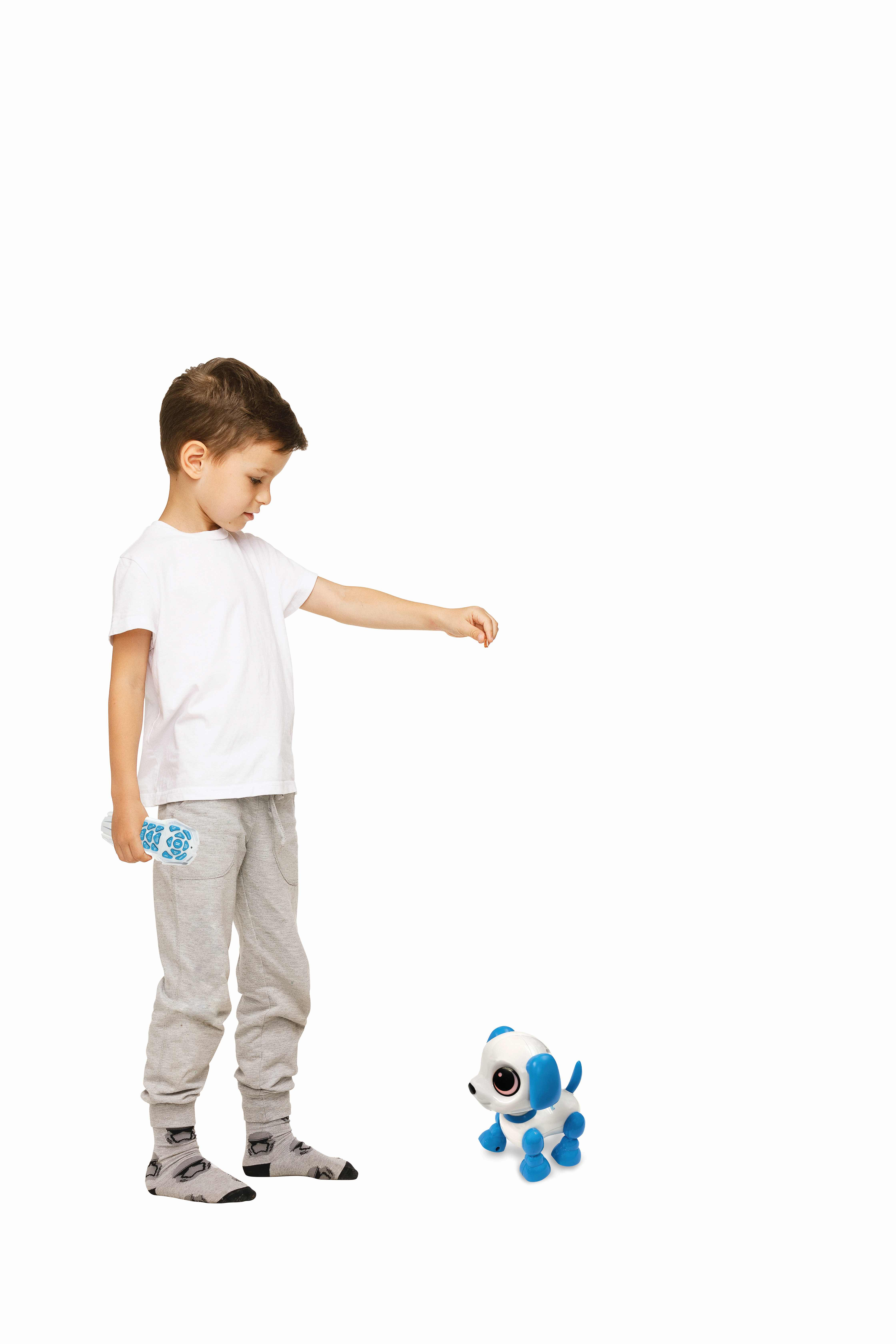 Un niño con camisa blanca y pantalones grises mira un cachorro de juguete. El cachorro es blanco y azul. Están sobre un fondo blanco.