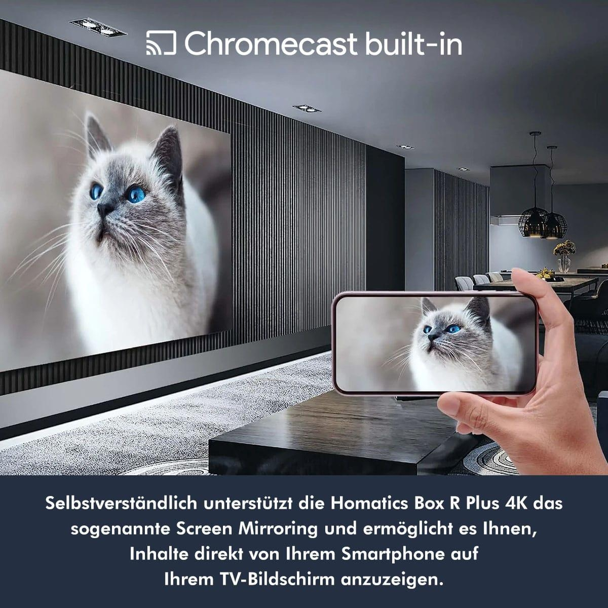 Katze mit blauen Augen auf TV-Bildschirm und Smartphone mit gleichem Katzenbild.