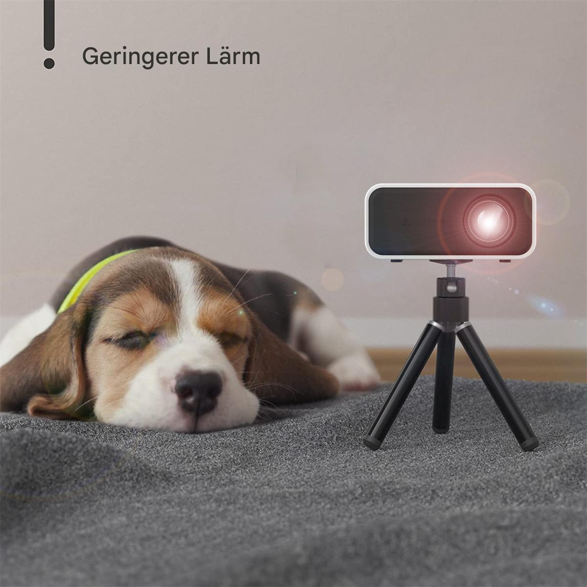 Ein Beagle schläft auf einer grauen Matte. Ein Projektor projiziert Licht auf die Wand.