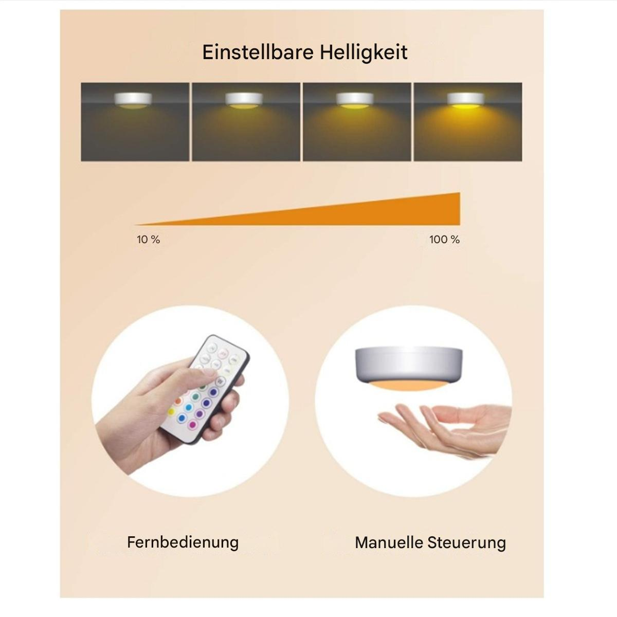 Diagramm einer Leuchte mit Helligkeitsstufen von 10% bis 100%, gesteuert durch Fernbedienung.