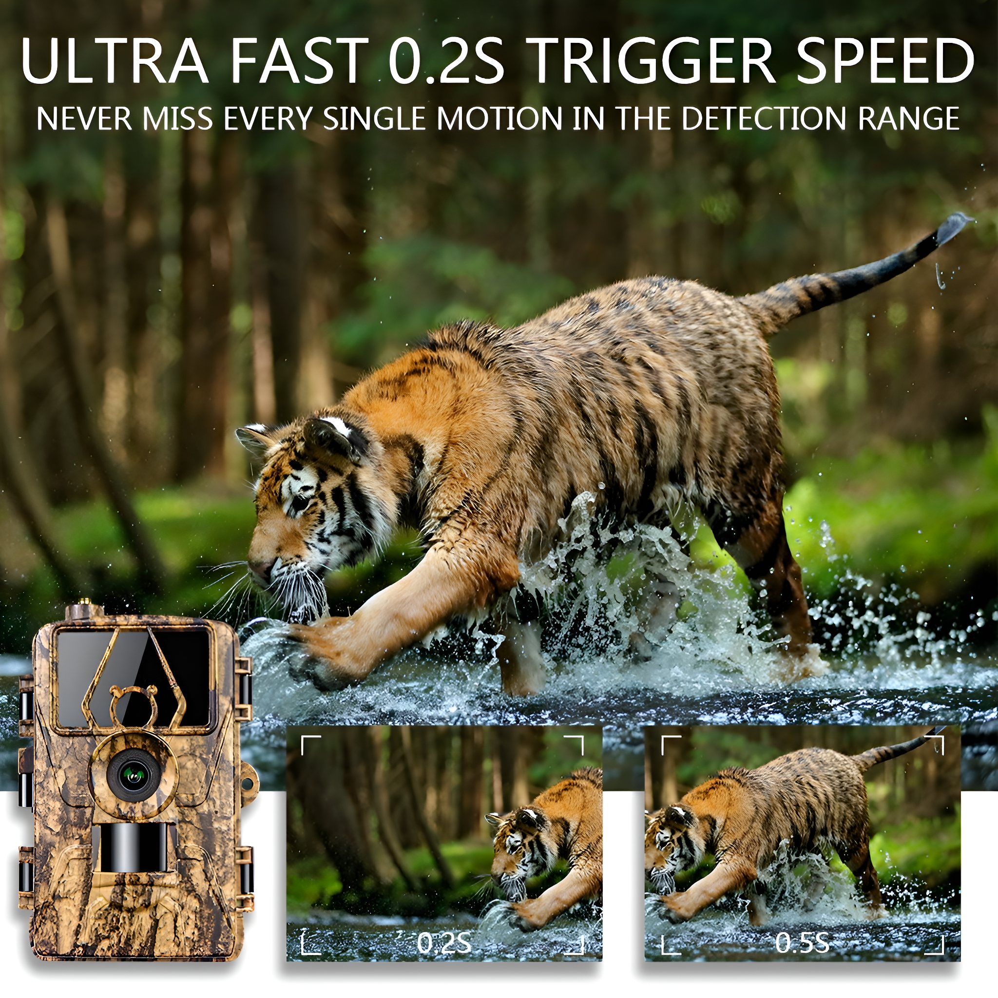 Tiger im Wasser, mit Wildkamera und drei inset Bildern, die die Geschwindigkeit der Erkennung zeigen.