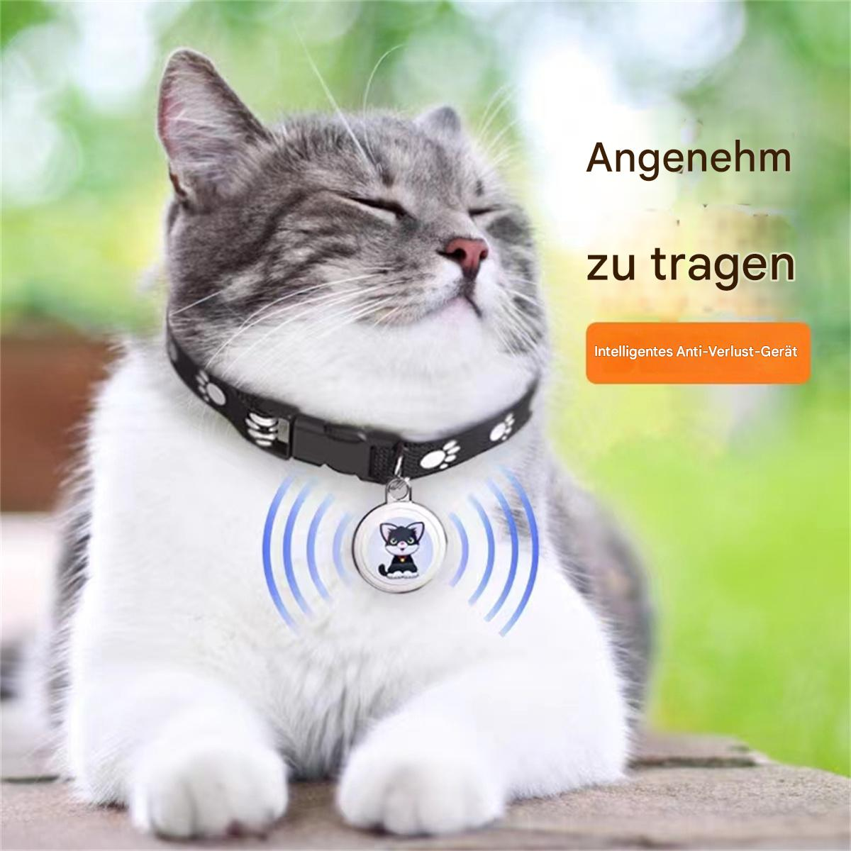 Eine Katze mit Halsband und Anhänger, die Funkwellen aussendet.