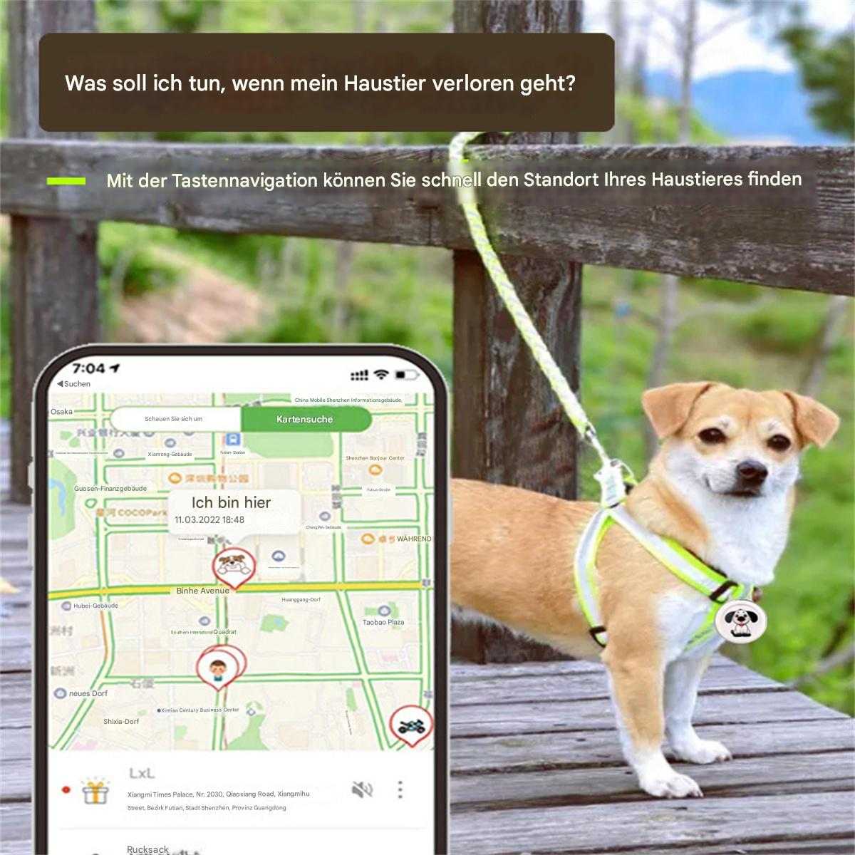 Ein Hund mit Ortungsgerät und ein Telefon mit Karte, die den Standort des Hundes anzeigt.