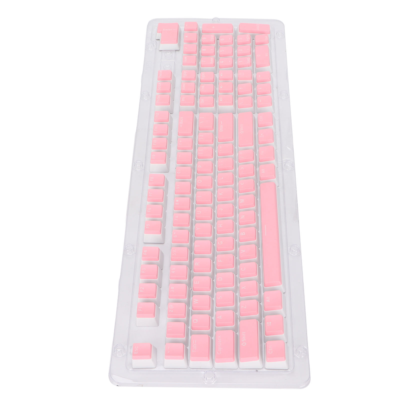 Rosa Tastaturtasten in einem transparenten Behälter, für die Tastaturnutzung angeordnet.