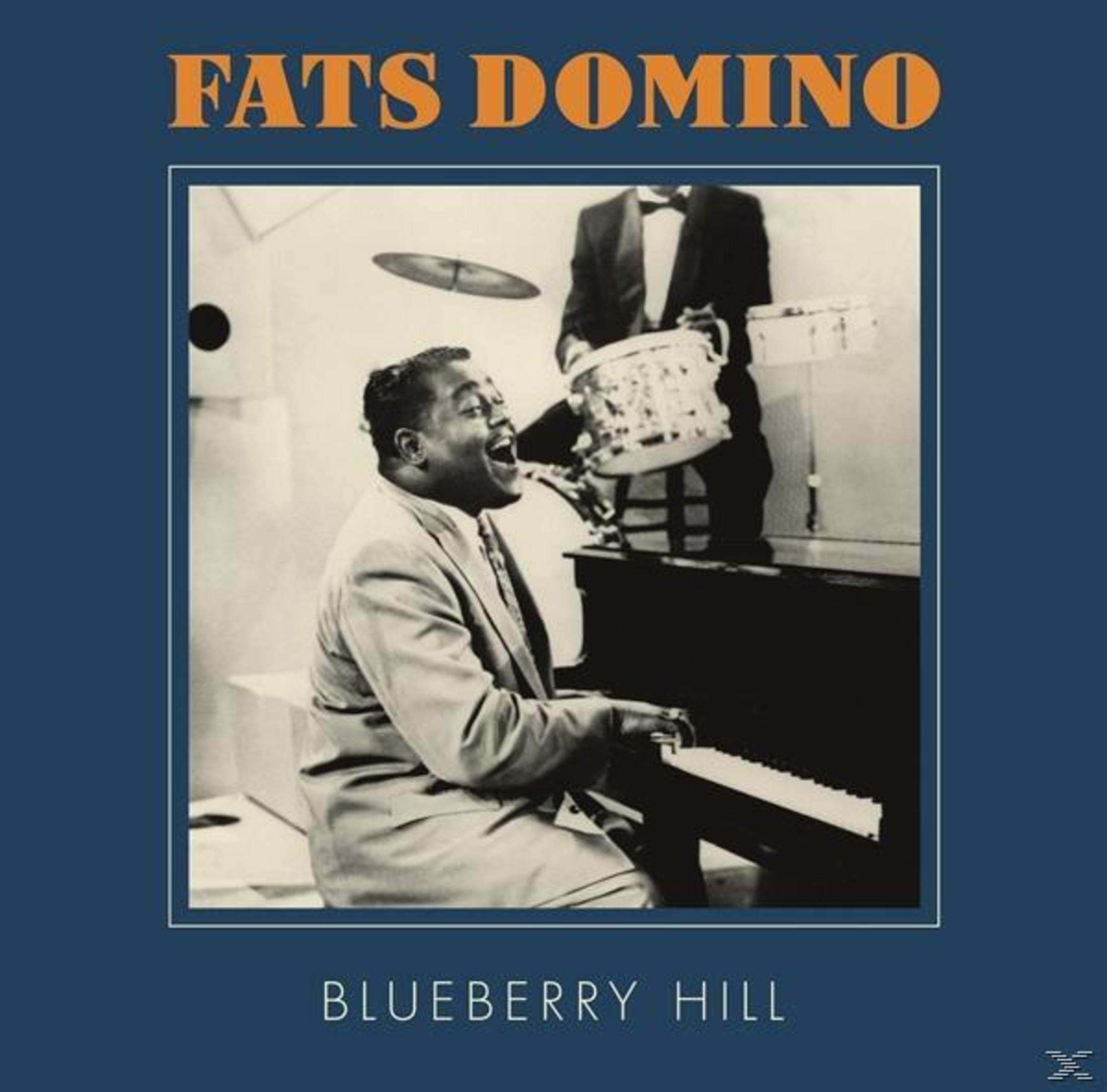 Albumhoes: Fats Domino speelt piano met een bandlid achter hem. Tekst 'Blueberry Hill'.
