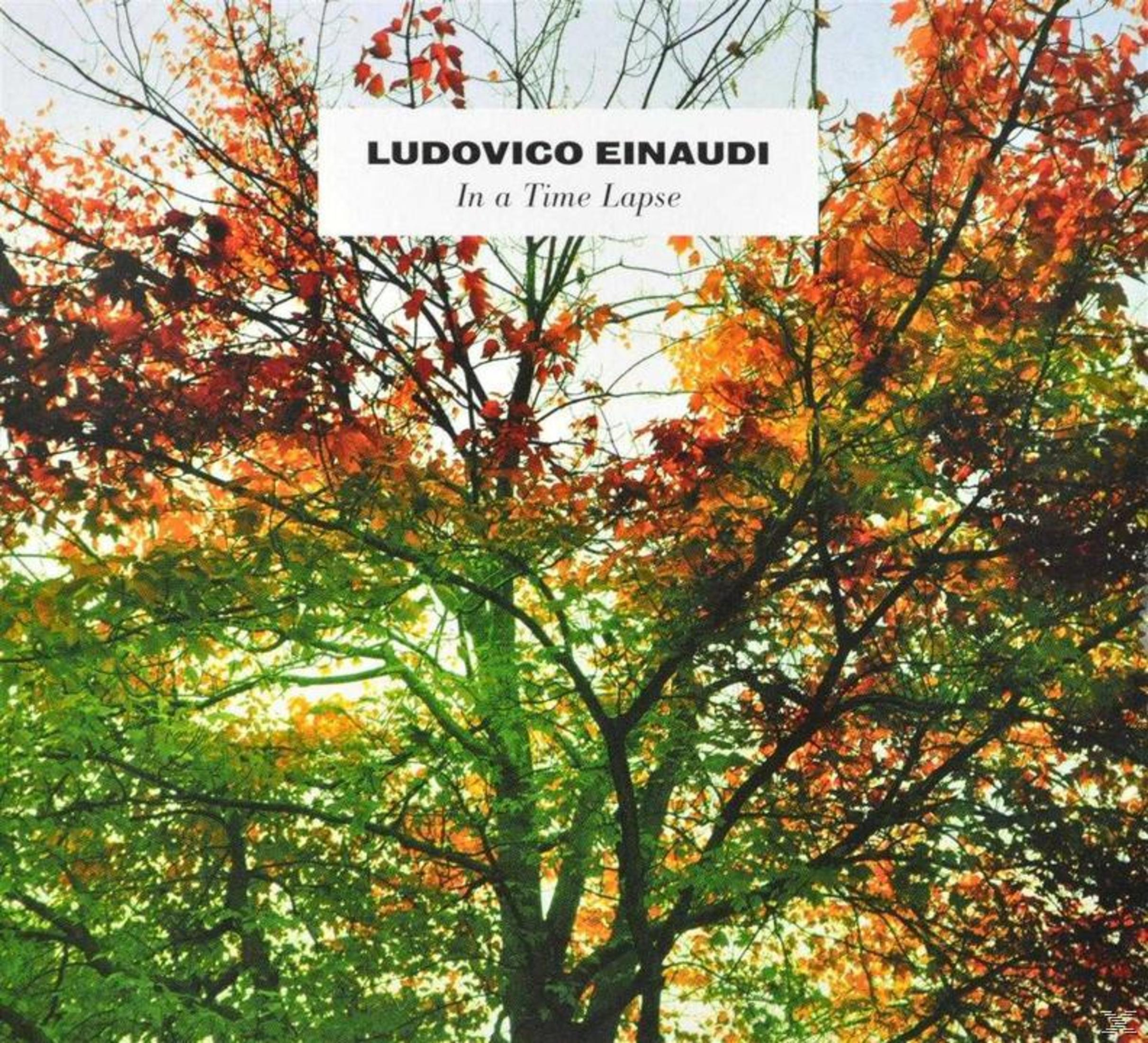 Albumhoes van Ludovico Einaudi met herfstbomen en bladeren. Een groen-bruine scène.