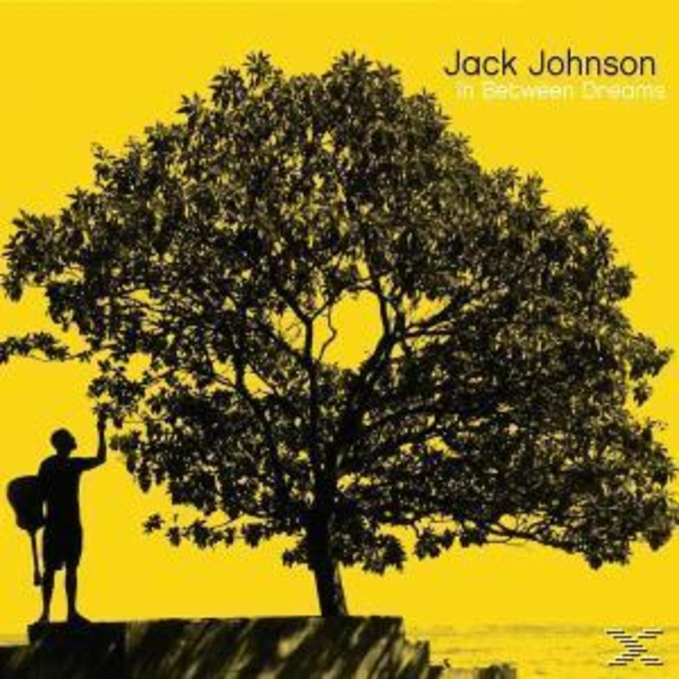 Copertina dell'album: Jack Johnson - In Between Dreams. Silhouette, albero, sfondo giallo.