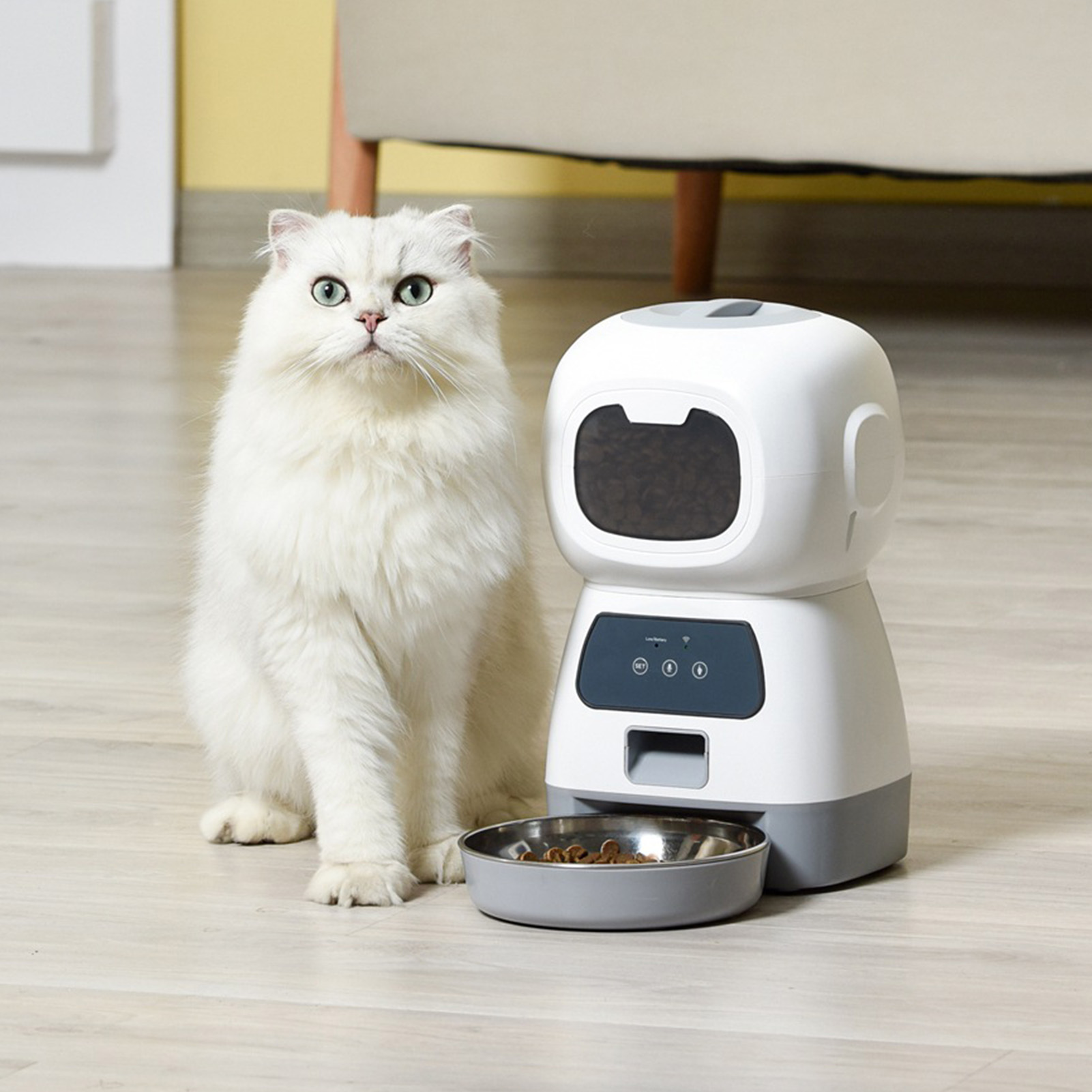 Weiße Katze mit intelligentem Futterautomaten; Katze schaut hoch.