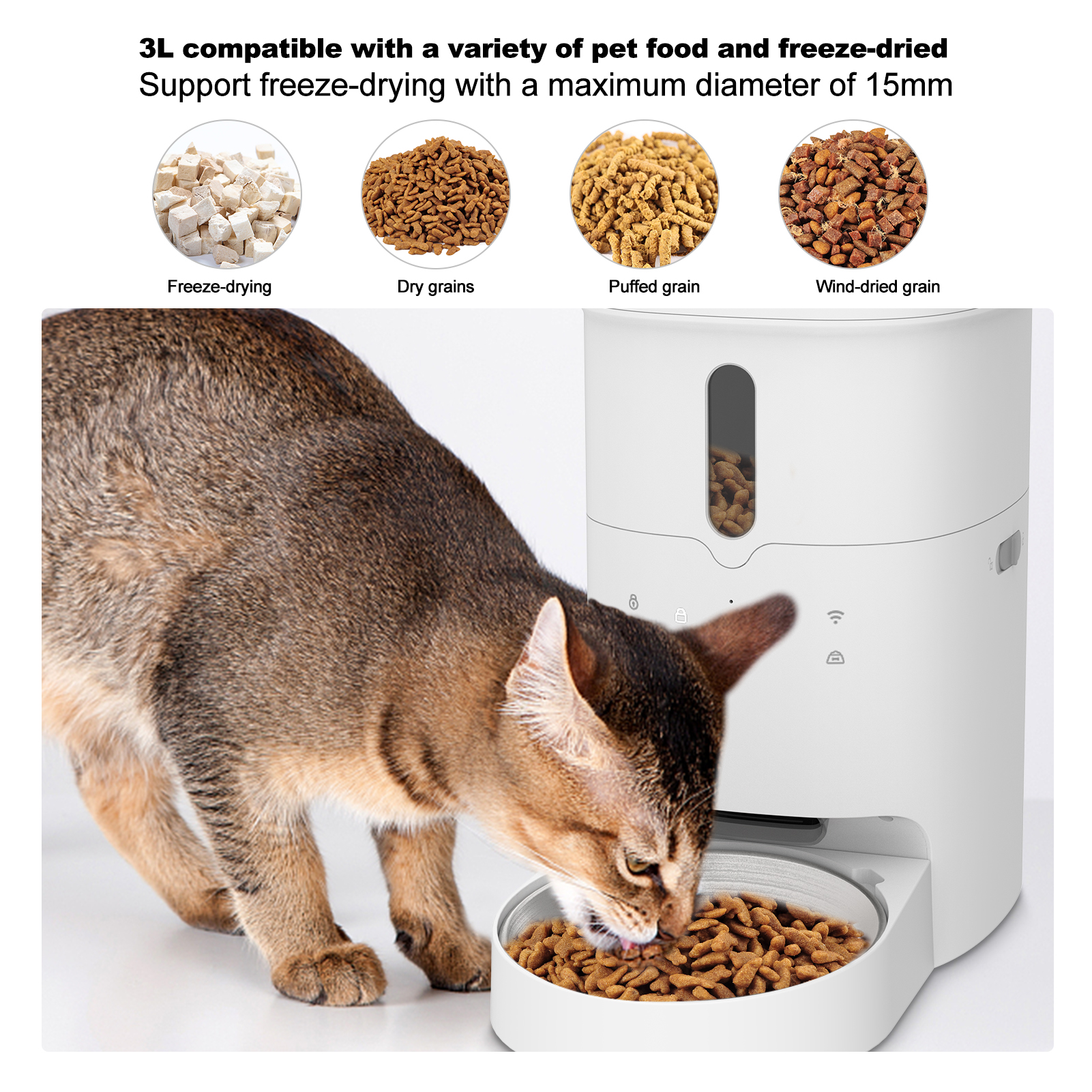 Eine Katze, die Trockenfutter aus einem automatischen Futterautomaten frisst, mit Futterarten.