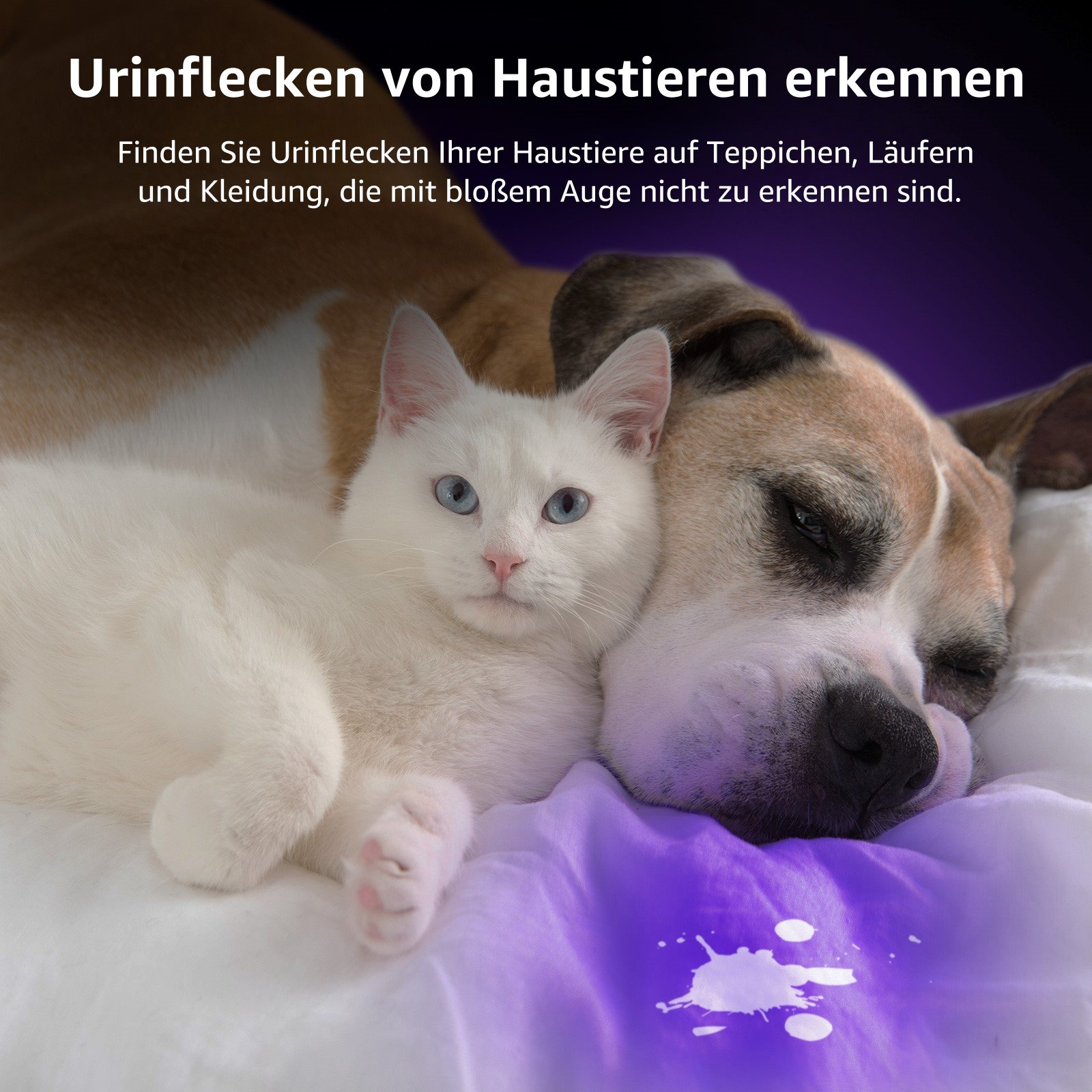 Hund und Katze schlafen auf einem Bett, mit einem lilafarbenen Urinfleck.