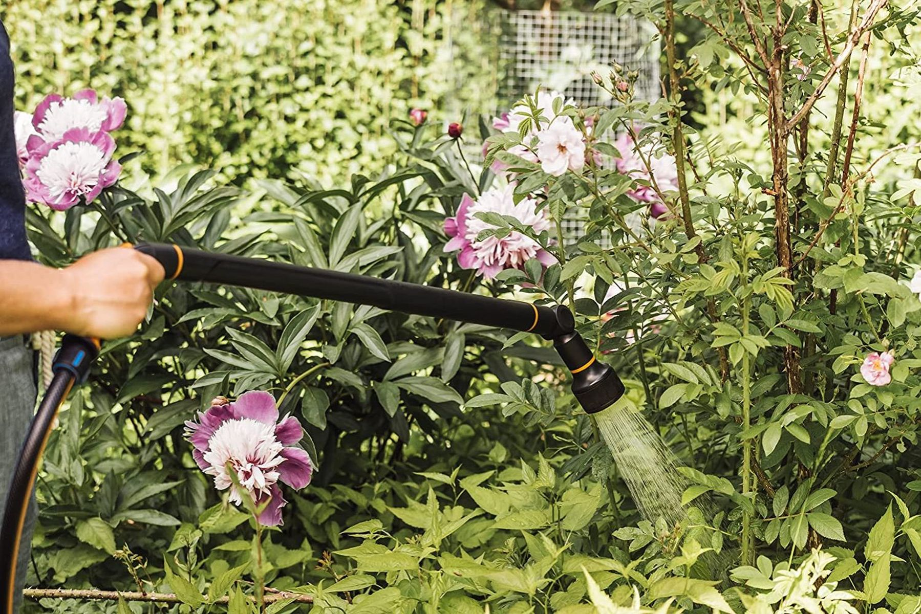 Eine Person gießt Blumen in einem Garten mit einem schwarzen Schlauch und einer Düse.