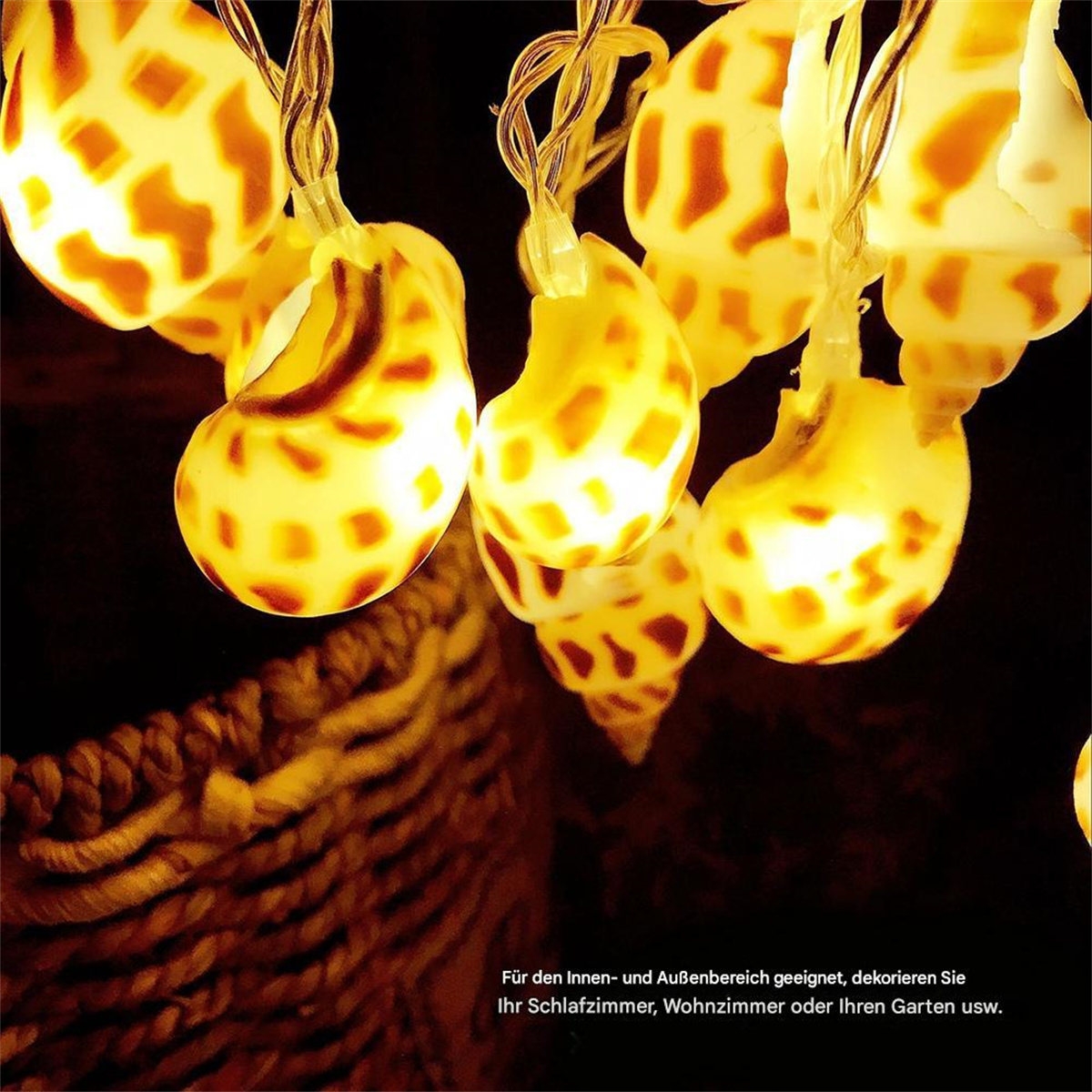 Dekorative Lichter in Muschelform auf dunklem Hintergrund.