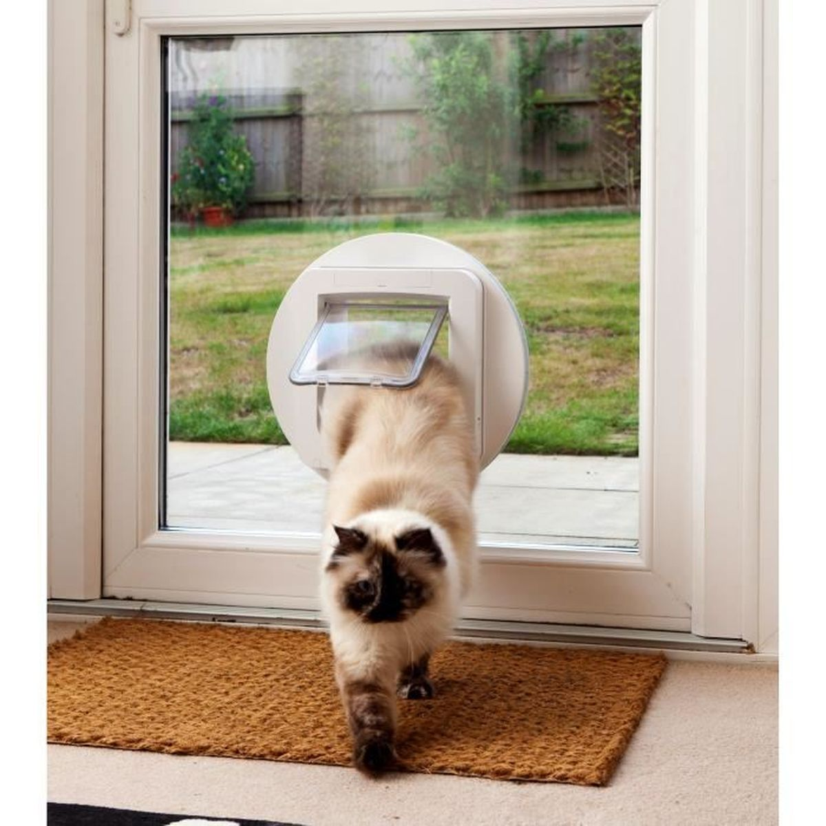 Eine Katze betritt durch eine Katzentür ein Haus, wobei die Außenseite durch die Tür sichtbar ist.