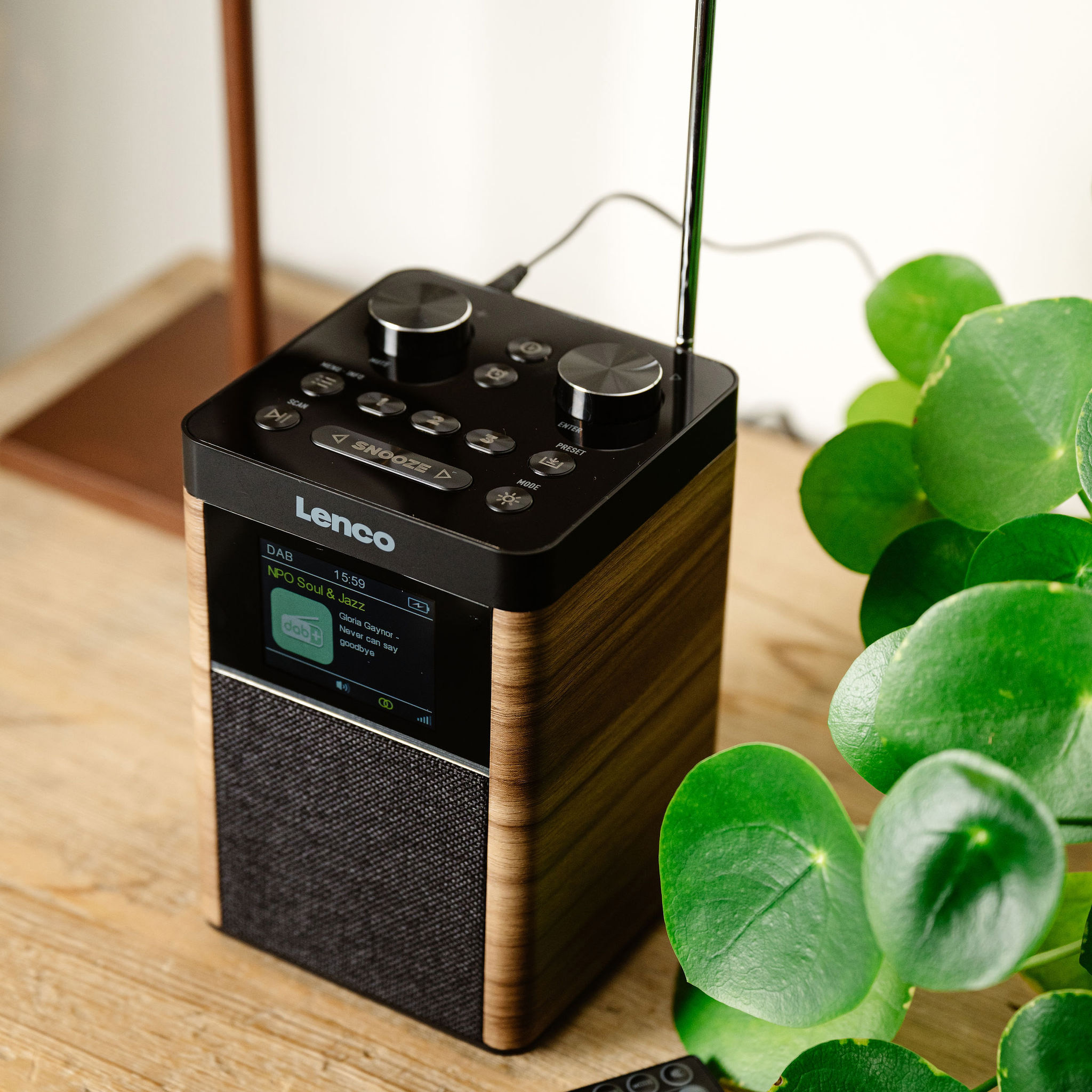 Black and wooden radio with a screen displaying text. Plant in the background.