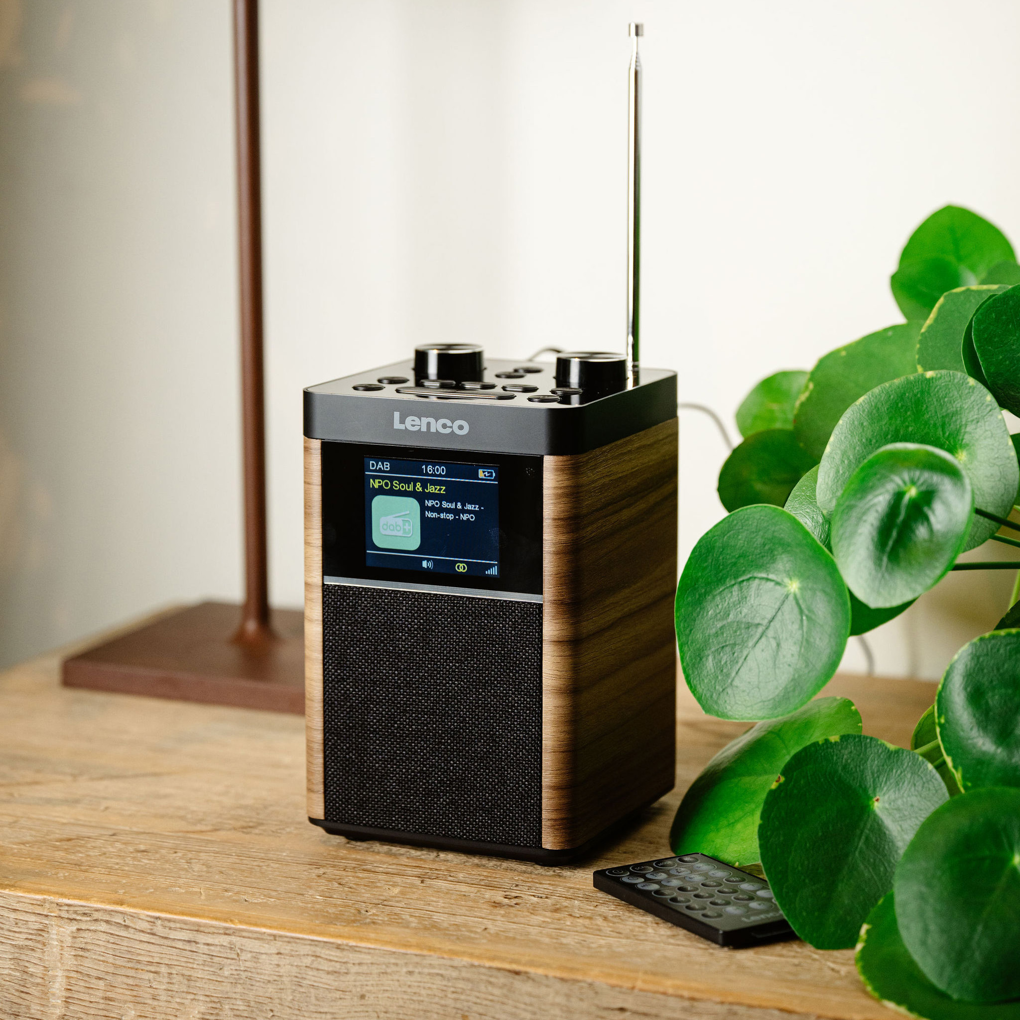 A wooden radio with a digital display and a plant with large green leaves on a table.