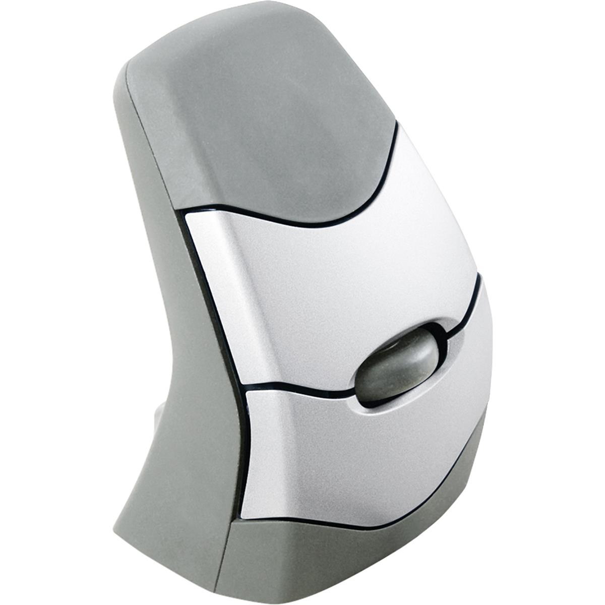 A grey and silver ergonomic mouse. It has a curved design and a scroll wheel on side.
