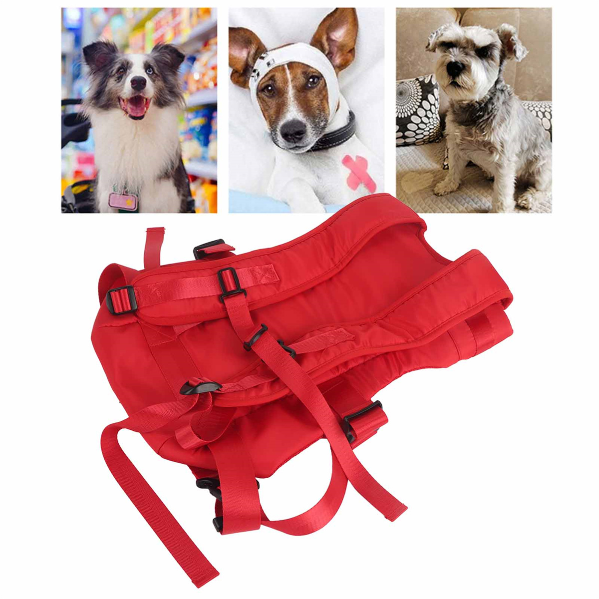 Rotes Hunde-Geschirr mit drei Hunde-Bildern: glücklicher Hund, verletzter Hund und ein anderer Hund.