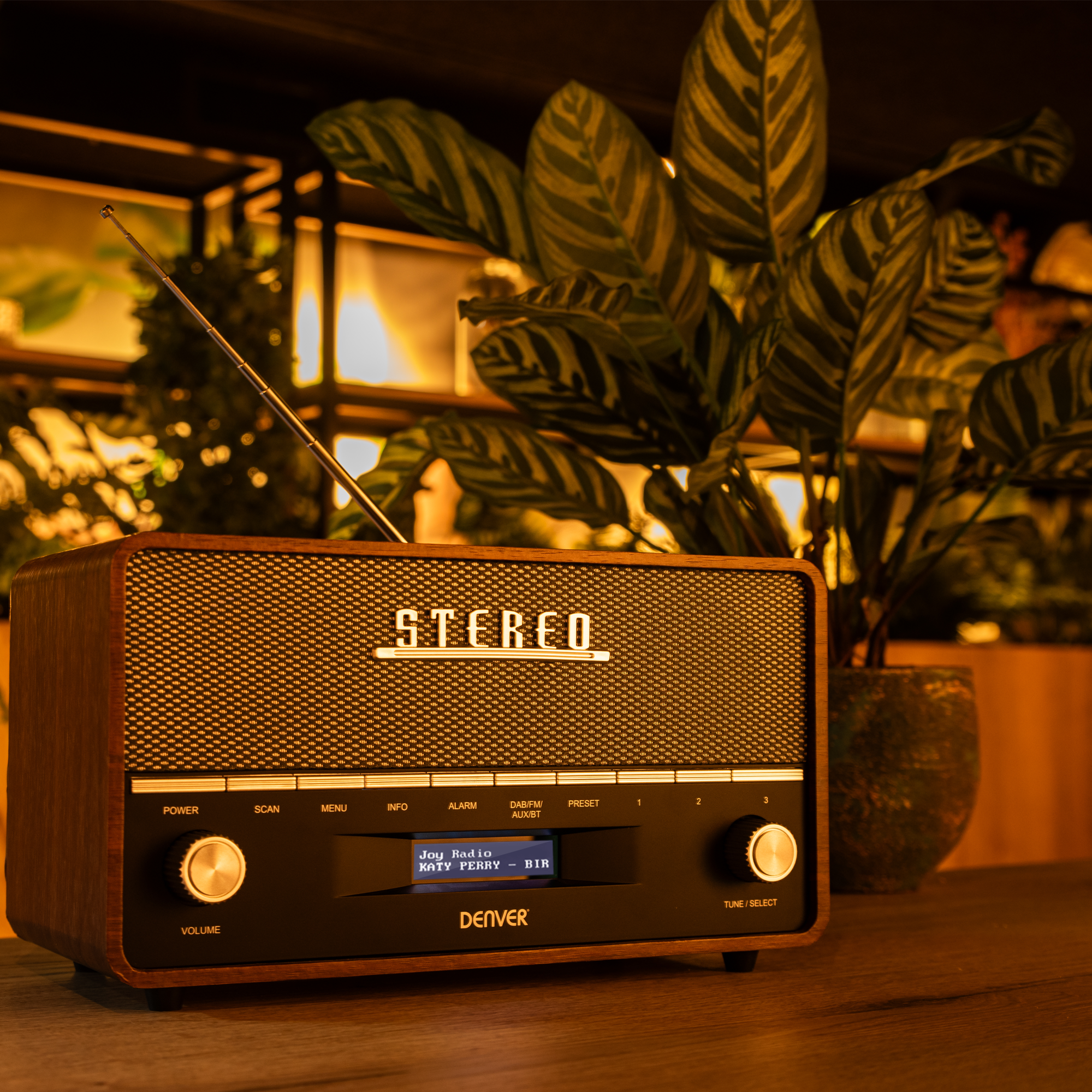 Drewniane radio stereo z ekranem i tekstem, obok rośliny.
