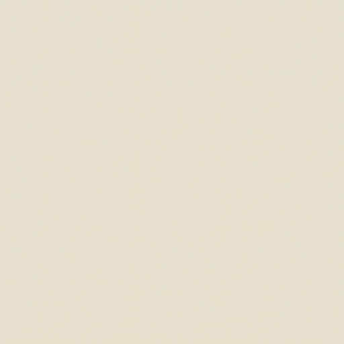 Sfondo beige chiaro pieno.