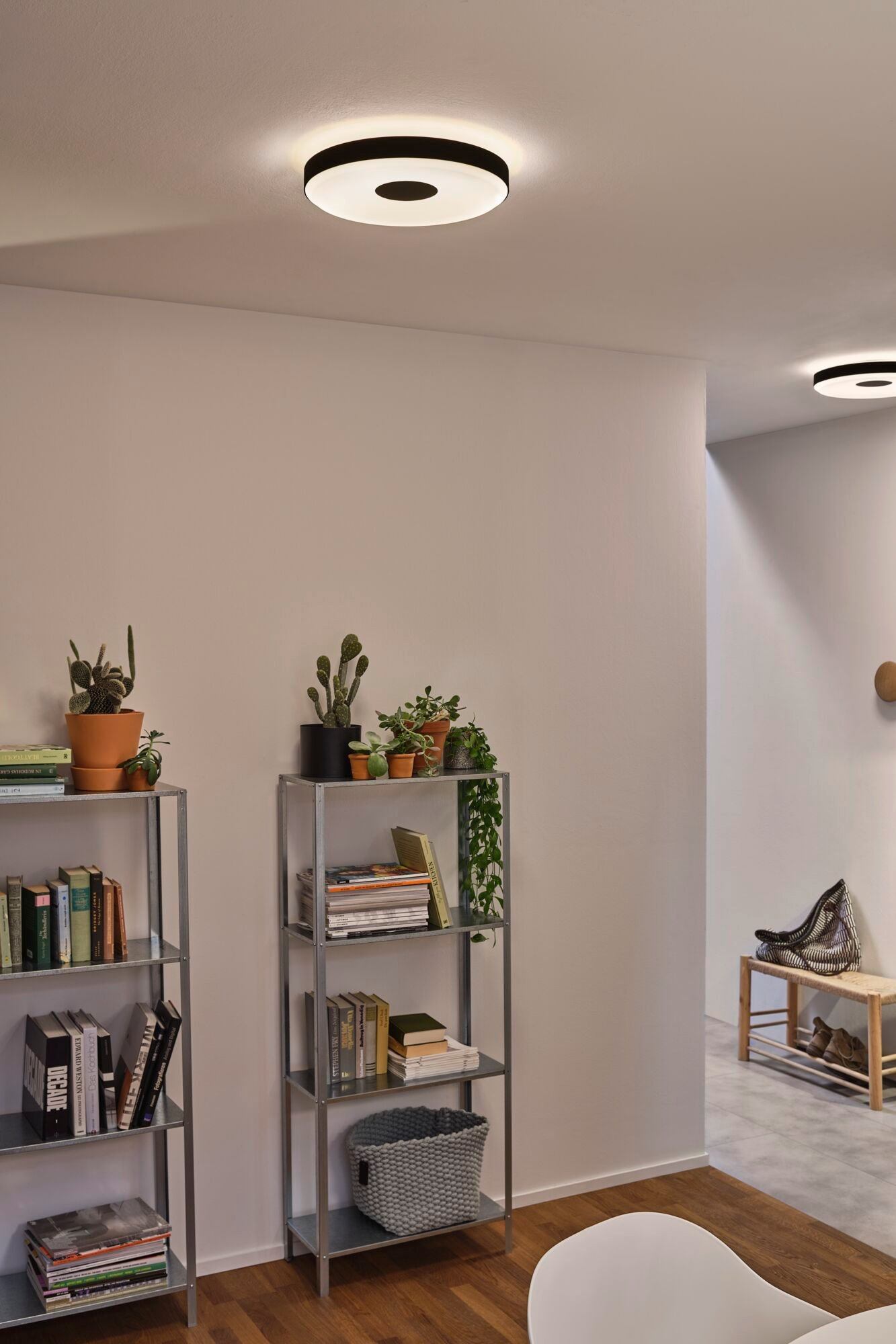 Scena w pomieszczeniu z oświetleniem sufitowym, półkami z książkami i roślinami oraz ławką.