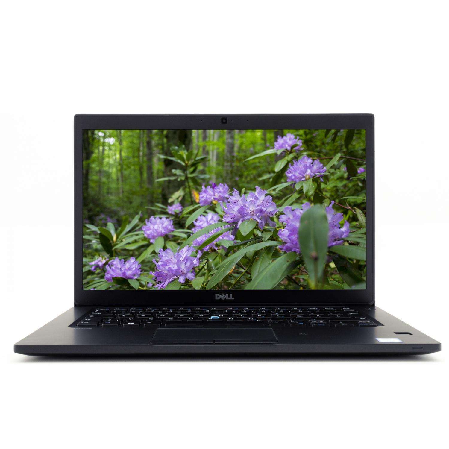 Schwarzer Laptop mit lila Blumen in einem Wald. Weißer Hintergrund.