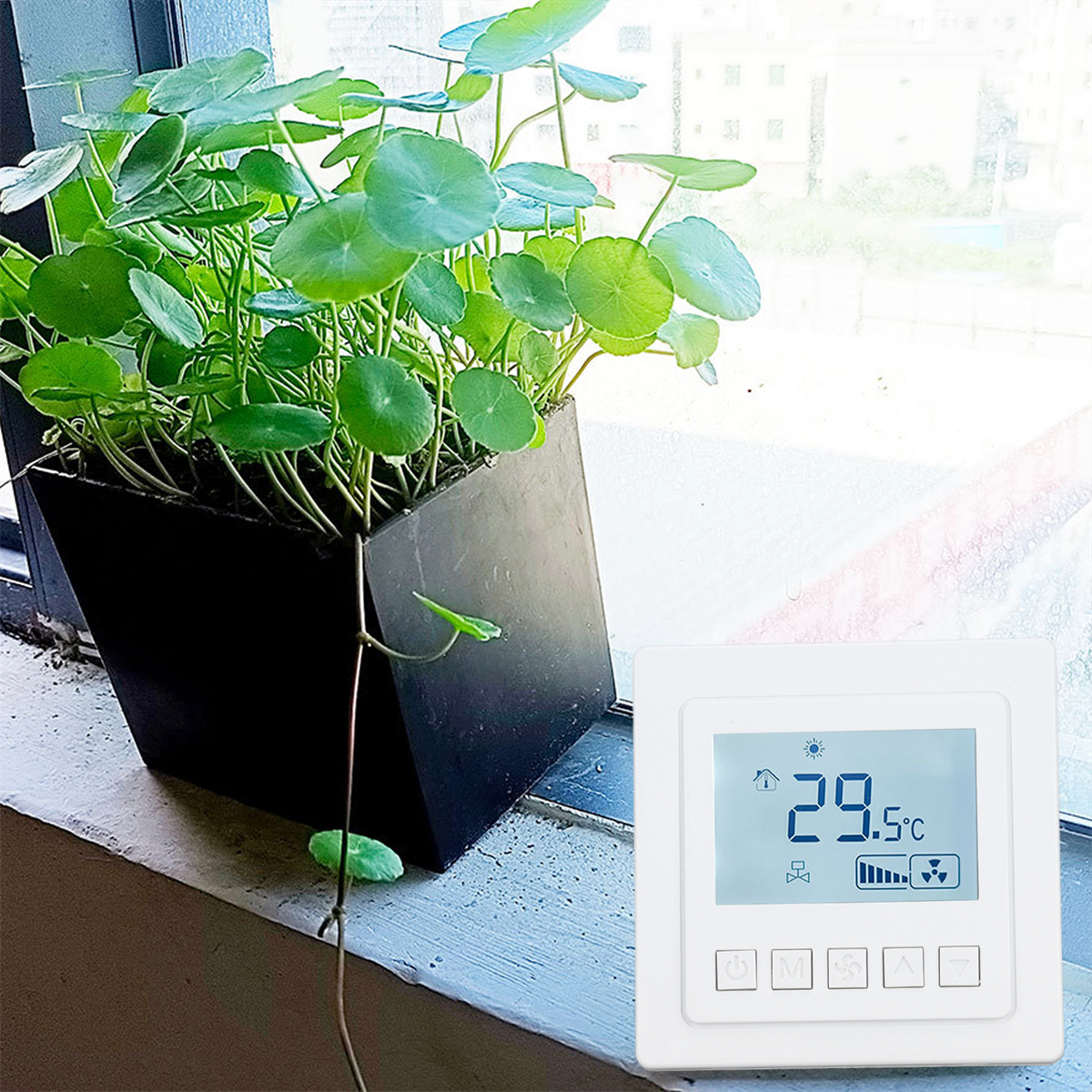 Pflanze in einem schwarzen Topf am Fenster mit Thermostat.