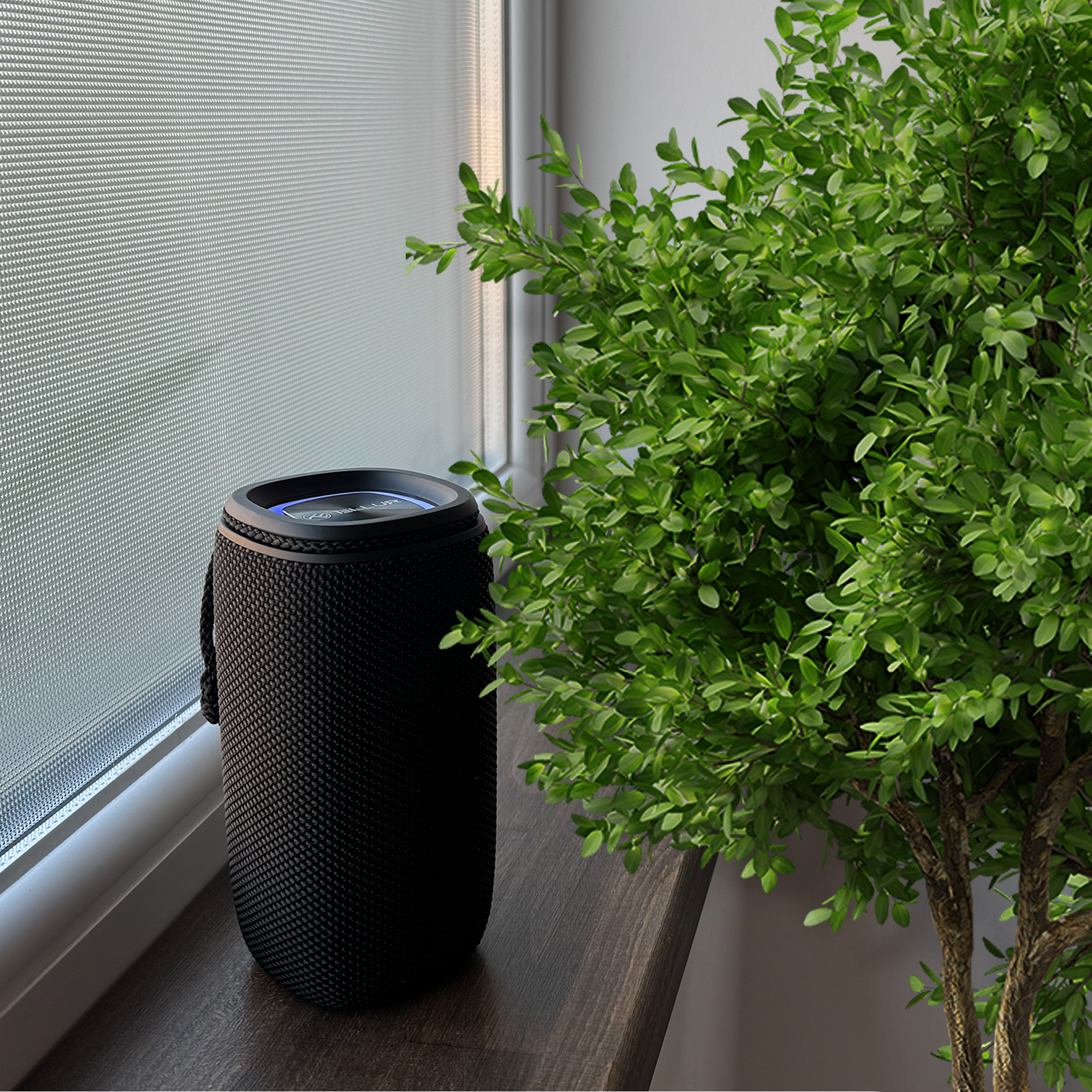 Czarny głośnik przenośny obok zielonej rośliny na parapecie.