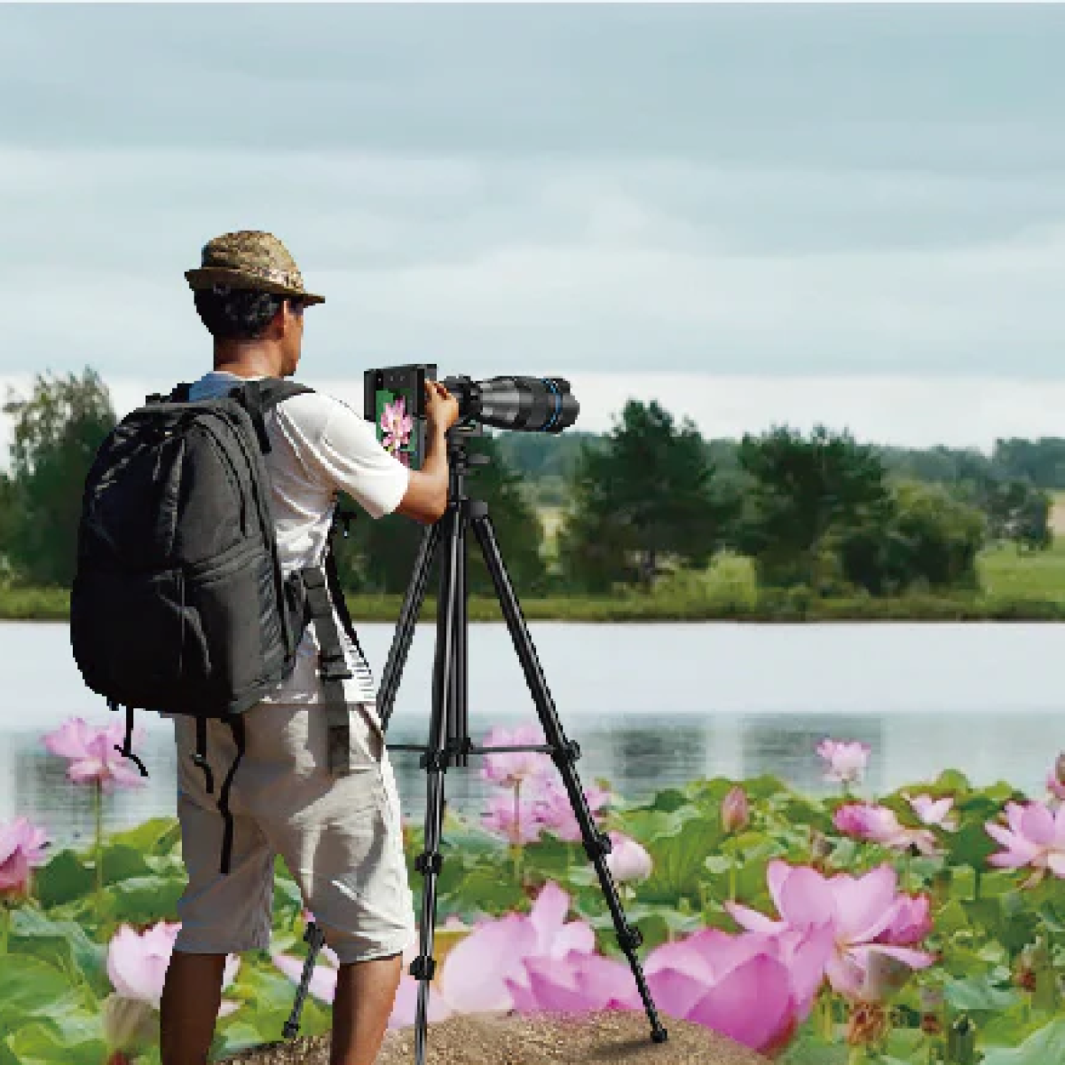 Mężczyzna fotografuje kwiaty lotosu aparatem na statywie. Zielone drzewa i woda w tle.