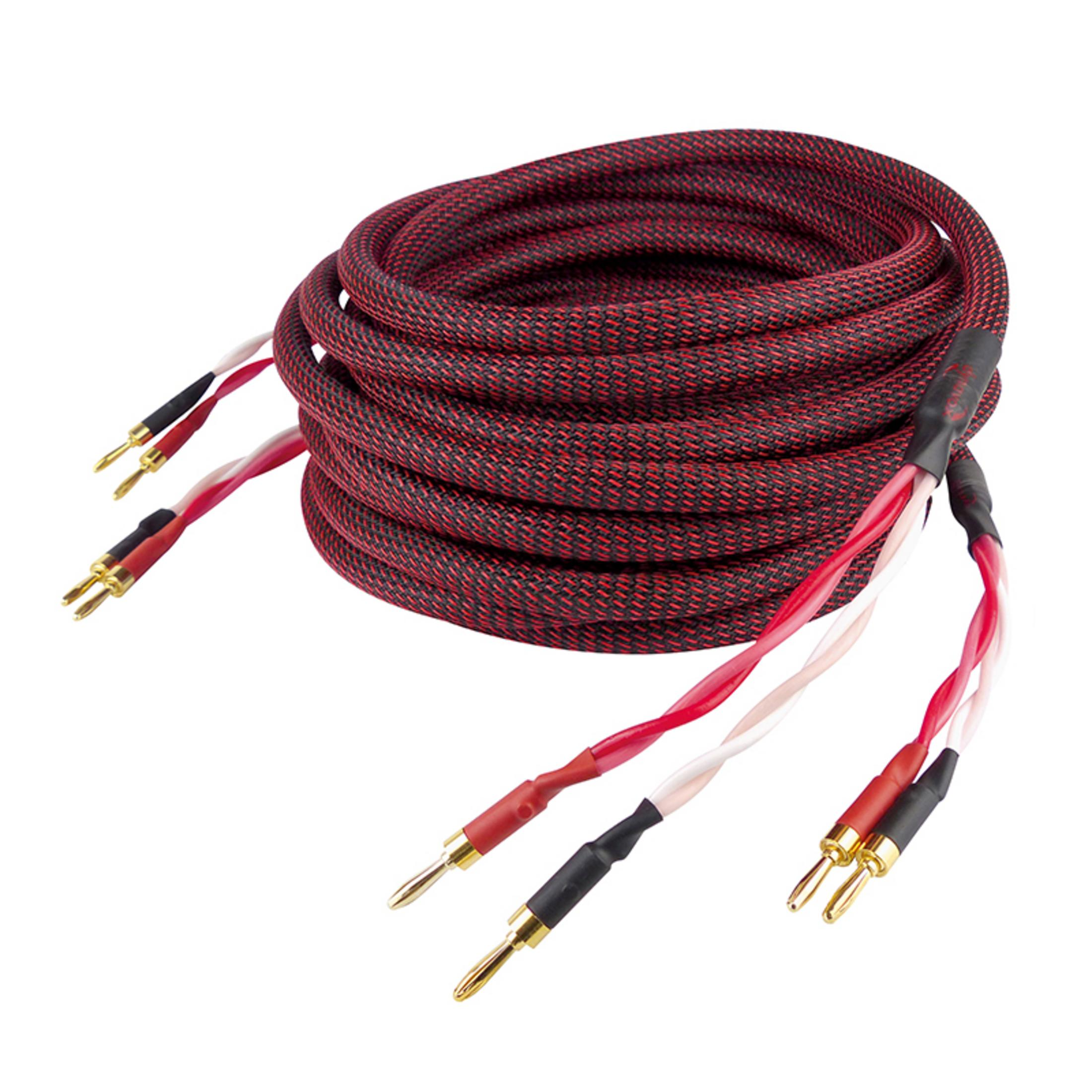 Rote und schwarze Audiokabel mit goldenen Steckern, vor weißem Hintergrund.