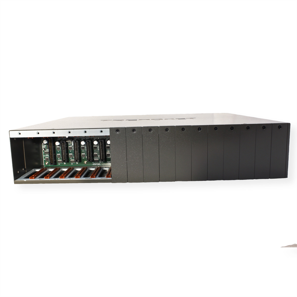 Ein schwarzes Server-Rack mit mehreren grünen Leiterplatten im Inneren, auf weißem Hintergrund.