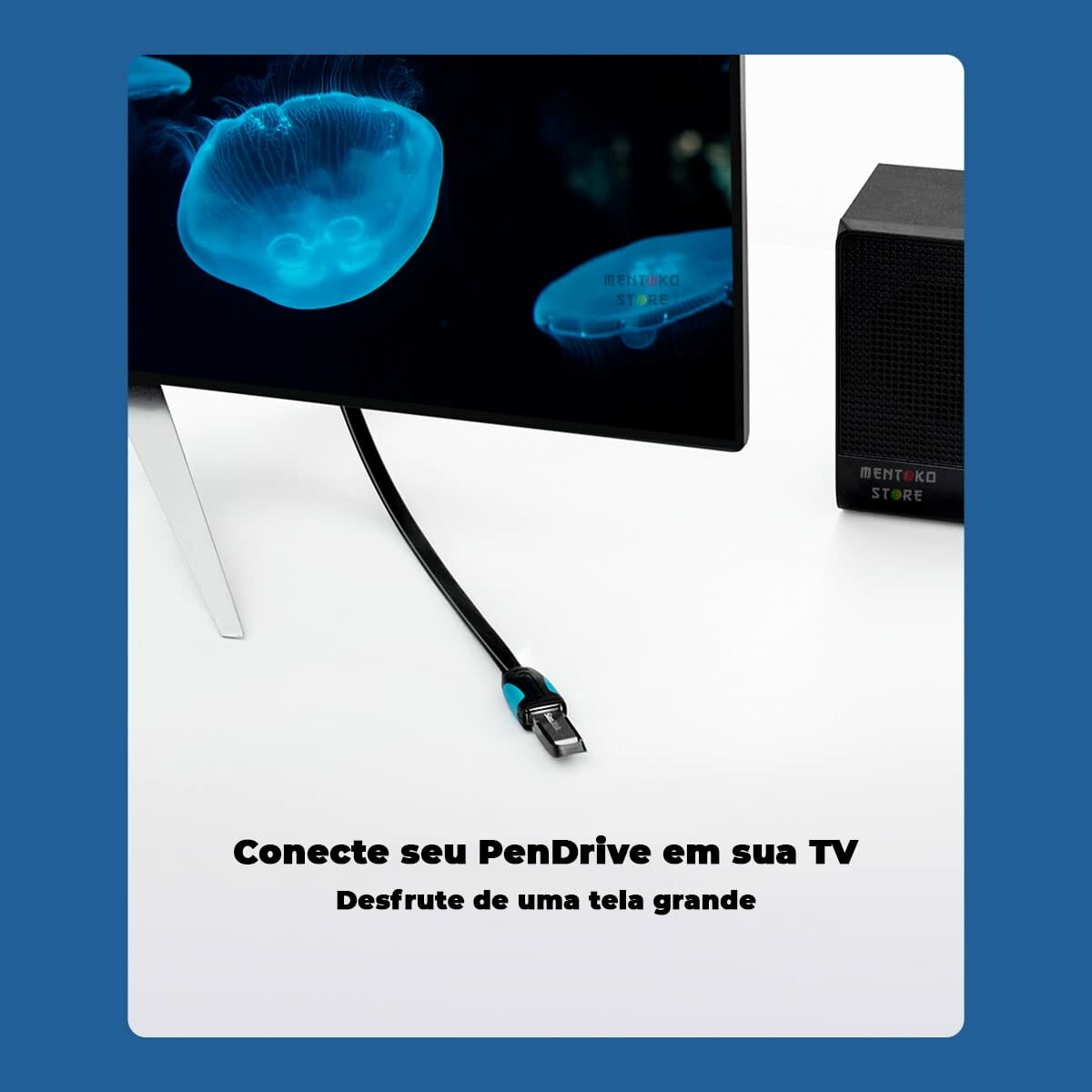 Een tv-scherm toont kwallen. De tekst eronder luidt: 'Verbind je PenDrive met je tv'.