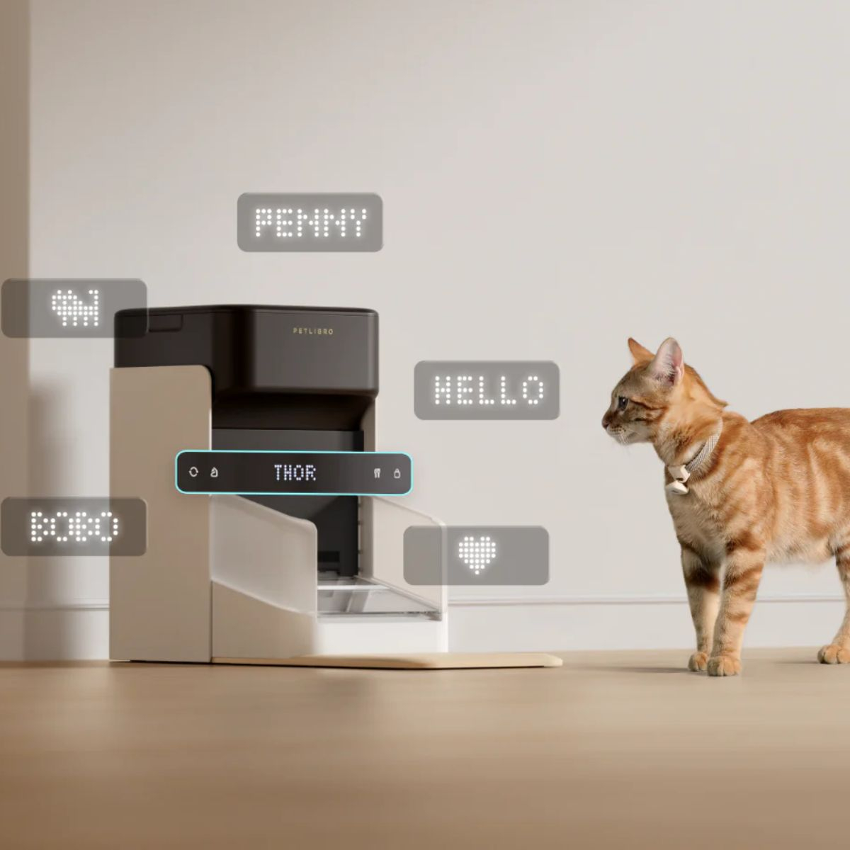 Un gato mira un dispensador de comida, con burbujas de texto encima. El gato es naranja.