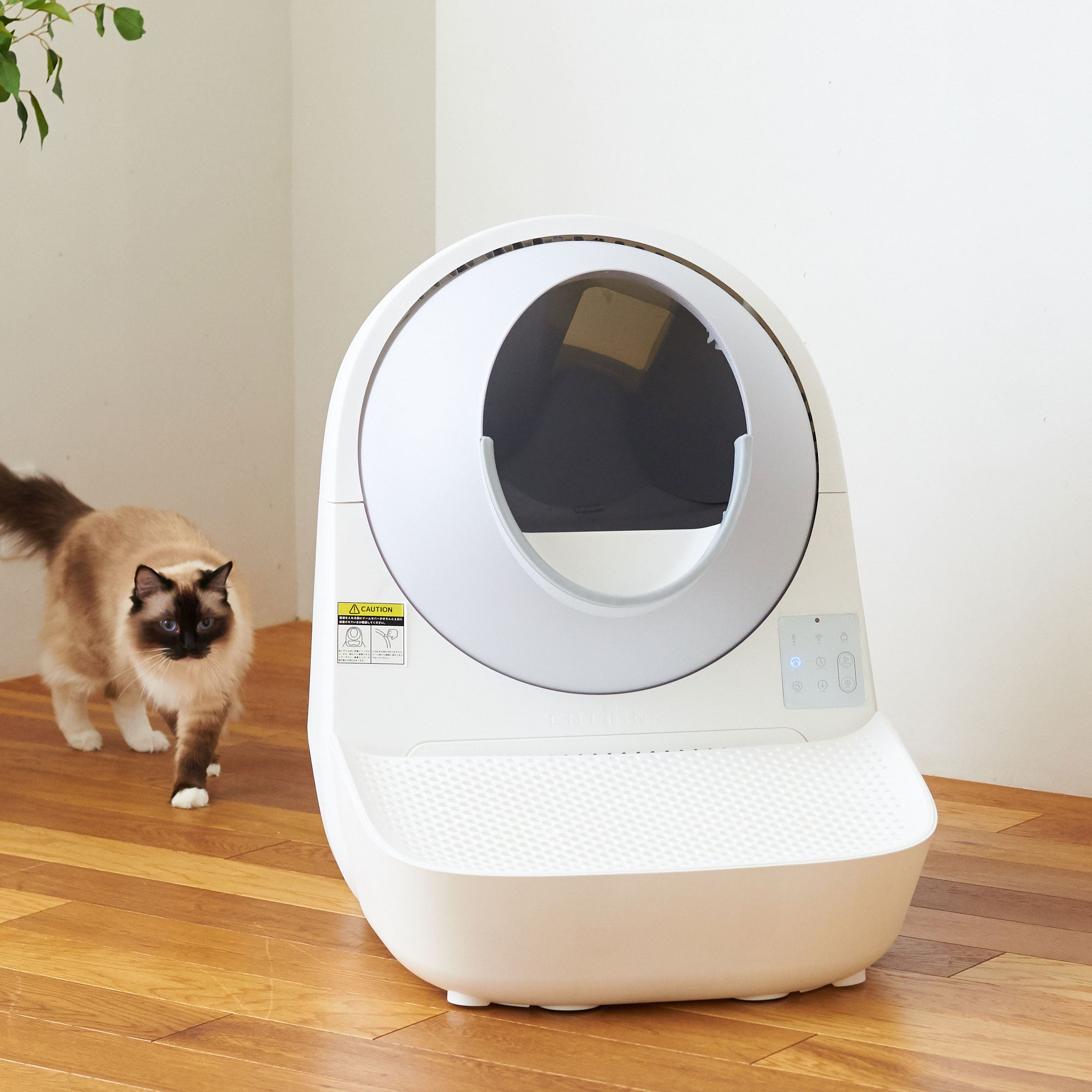 Weiße, selbstreinigende Katzen-Toilette mit Katze im Hintergrund auf Holzboden.