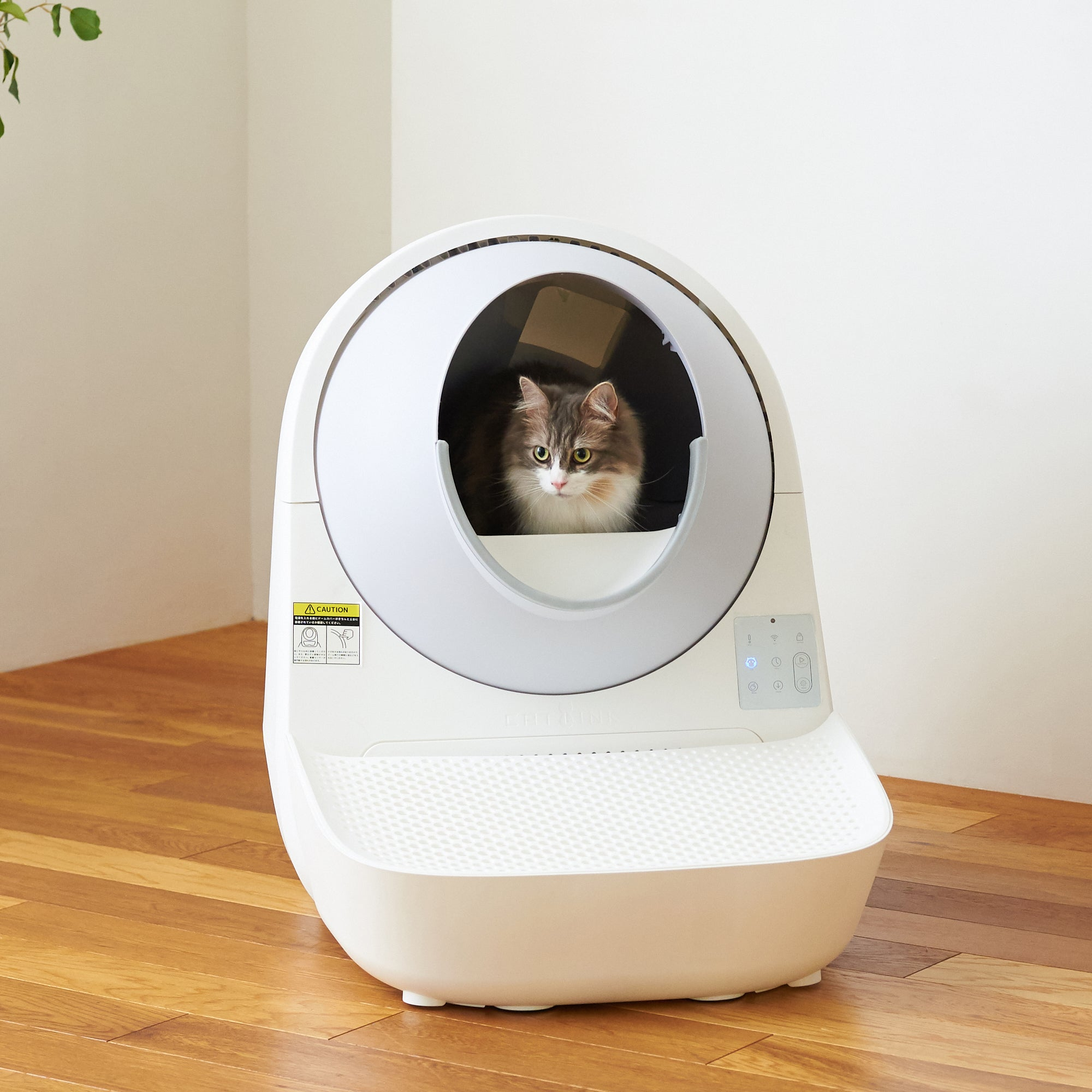 A cat is inside a white, automatic litter box.