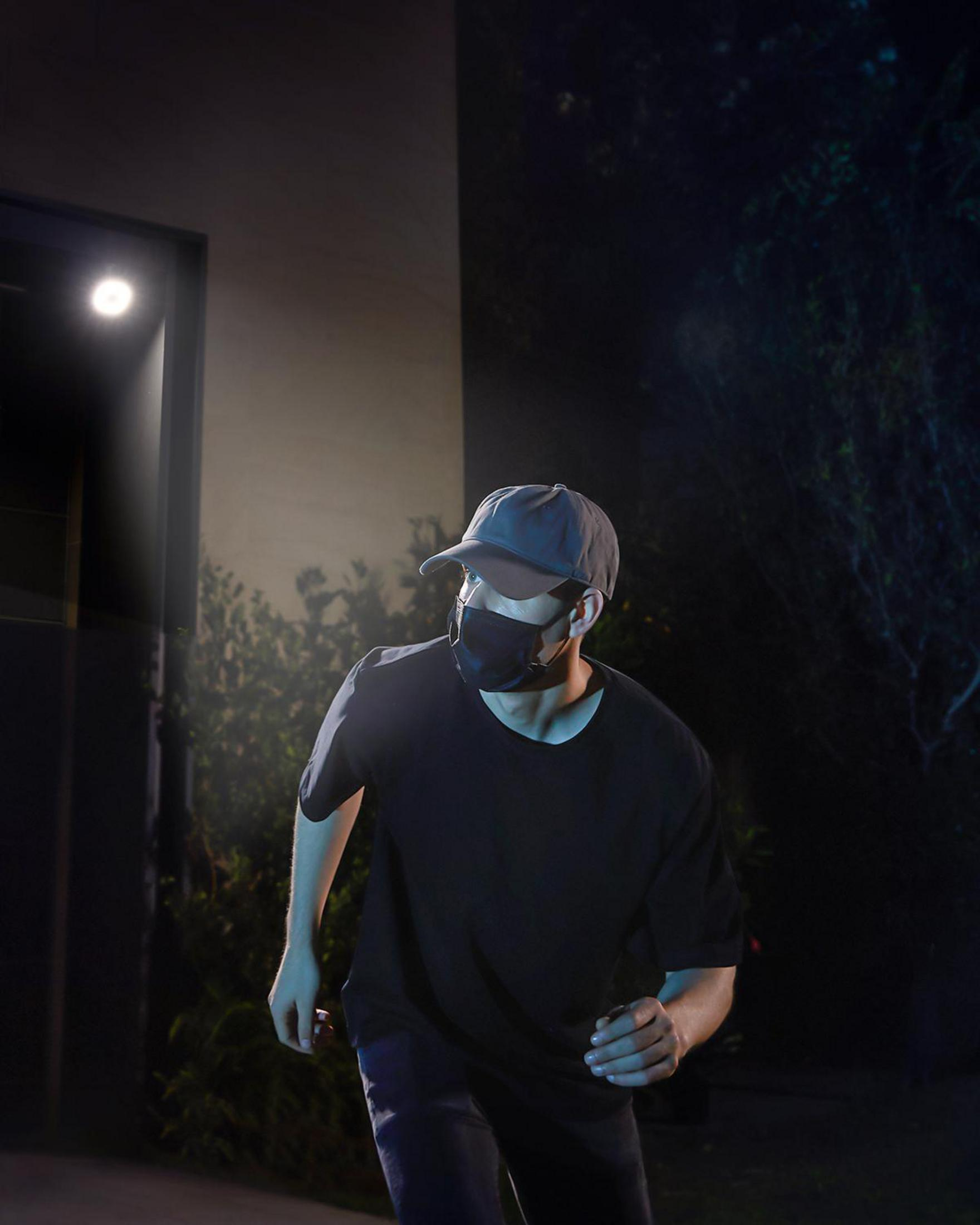 Dwa psy szarpią zieloną zabawkę w kształcie piłki ze sznurem na białym tle.