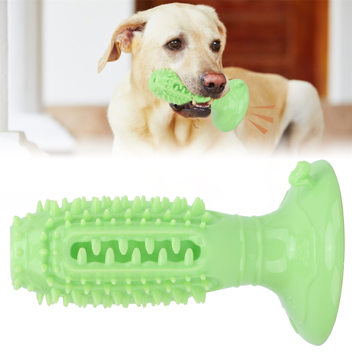 Hund, der auf einem grünen Kauspielzeug kaut, ein anderes Spielzeug liegt neben dem Hund.