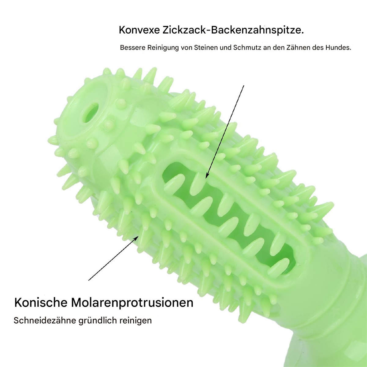 Grünes Hundespielzeug mit Textbezeichnungen, die auf Merkmale wie Vorsprünge zeigen.