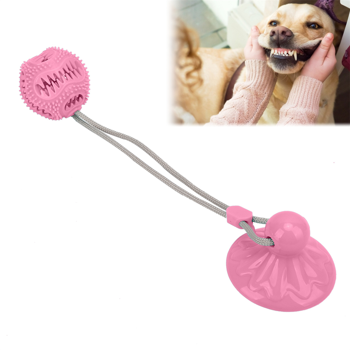 Rosa Hundespielzeug mit Ball und Saugnapf. Hundegesicht im Hintergrund.