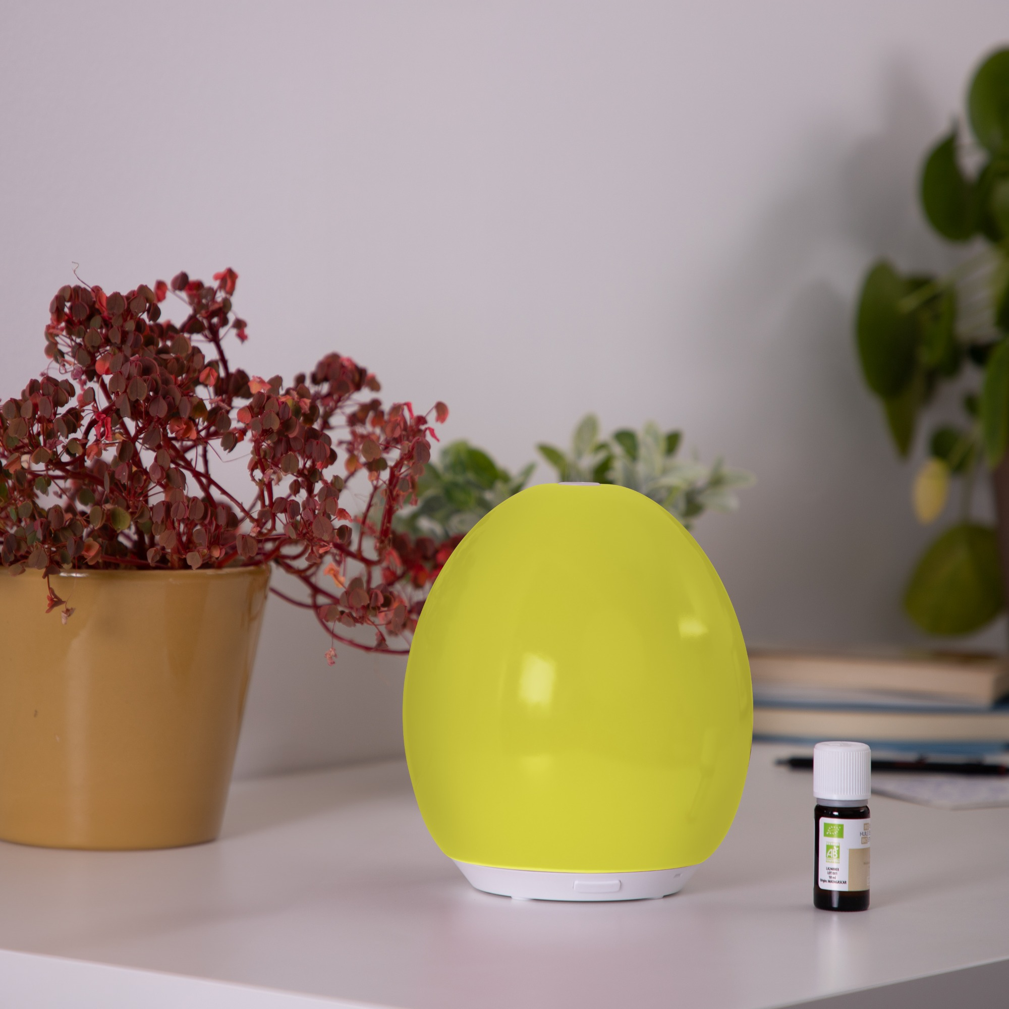 Un diffuseur jaune avec des plantes et de l'huile essentielle.