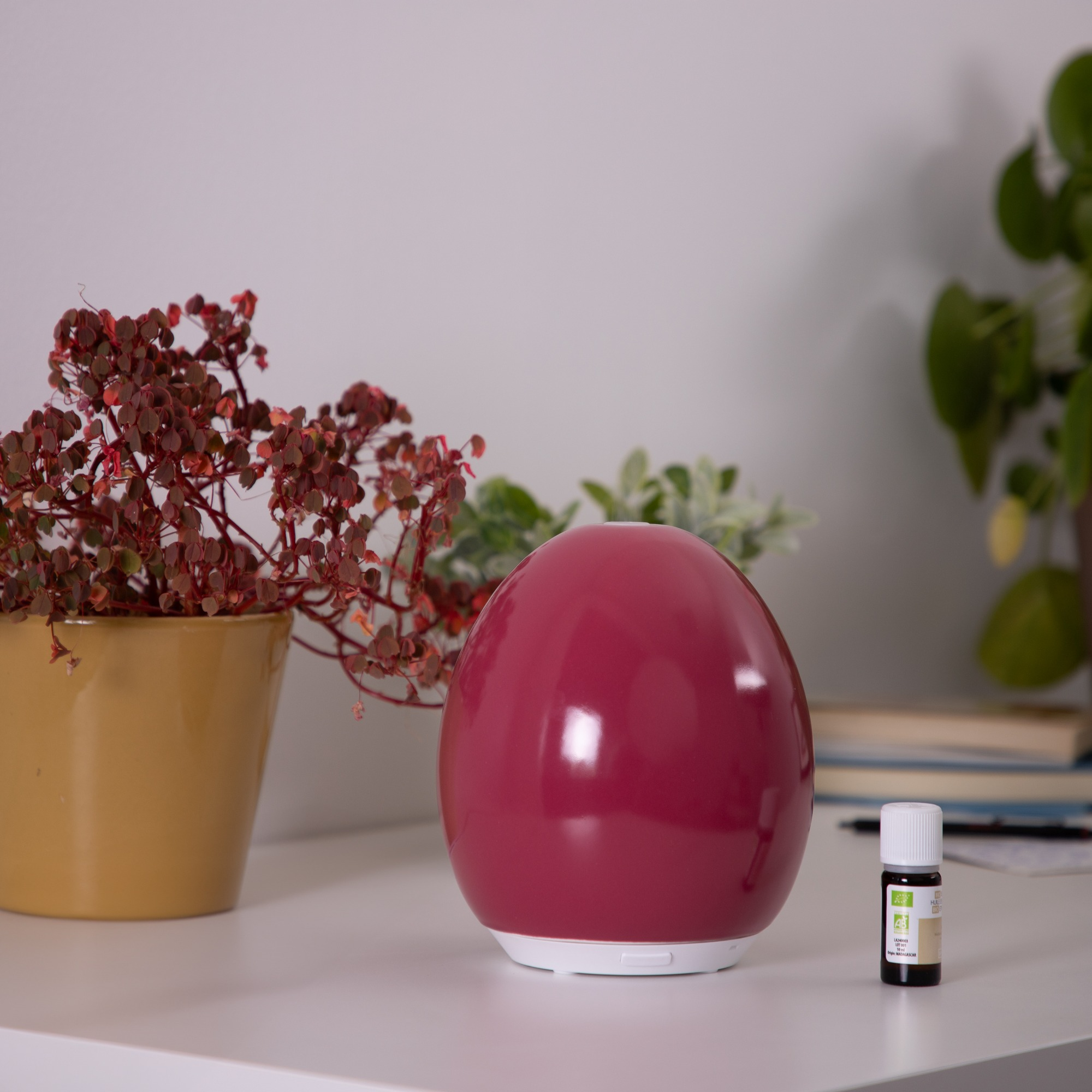 Aromatherapy diffuser with a small bottle and plants.