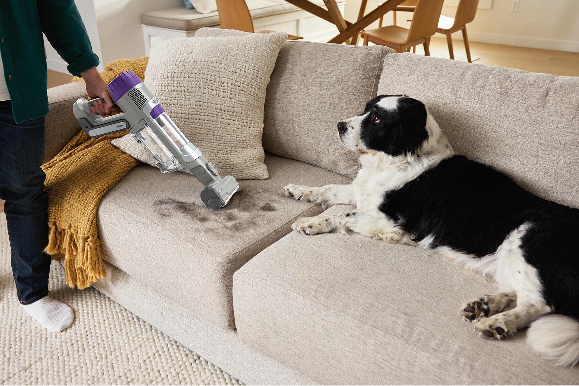 Person using a cordless vacuum cleaner to clean a light-colored sofa. A dog is on the sofa.