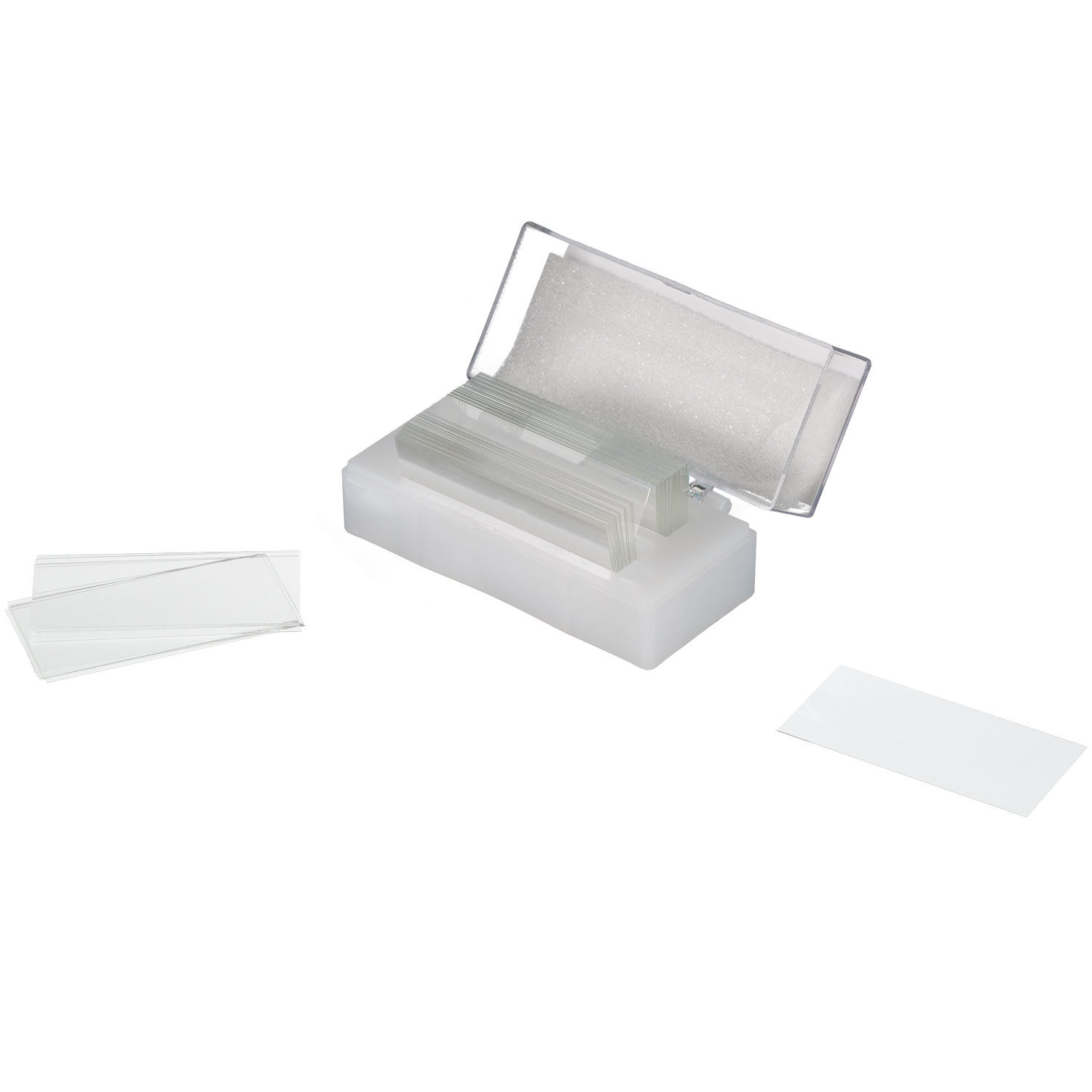 Portaobjetos de microscopio y un recipiente transparente con base blanca, sobre un fondo blanco.