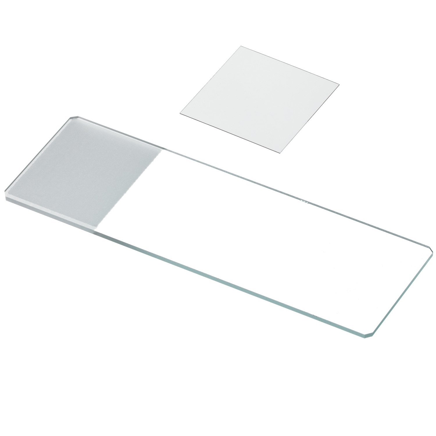 Dos portaobjetos de vidrio, uno rectangular y otro cuadrado, sobre una superficie blanca.