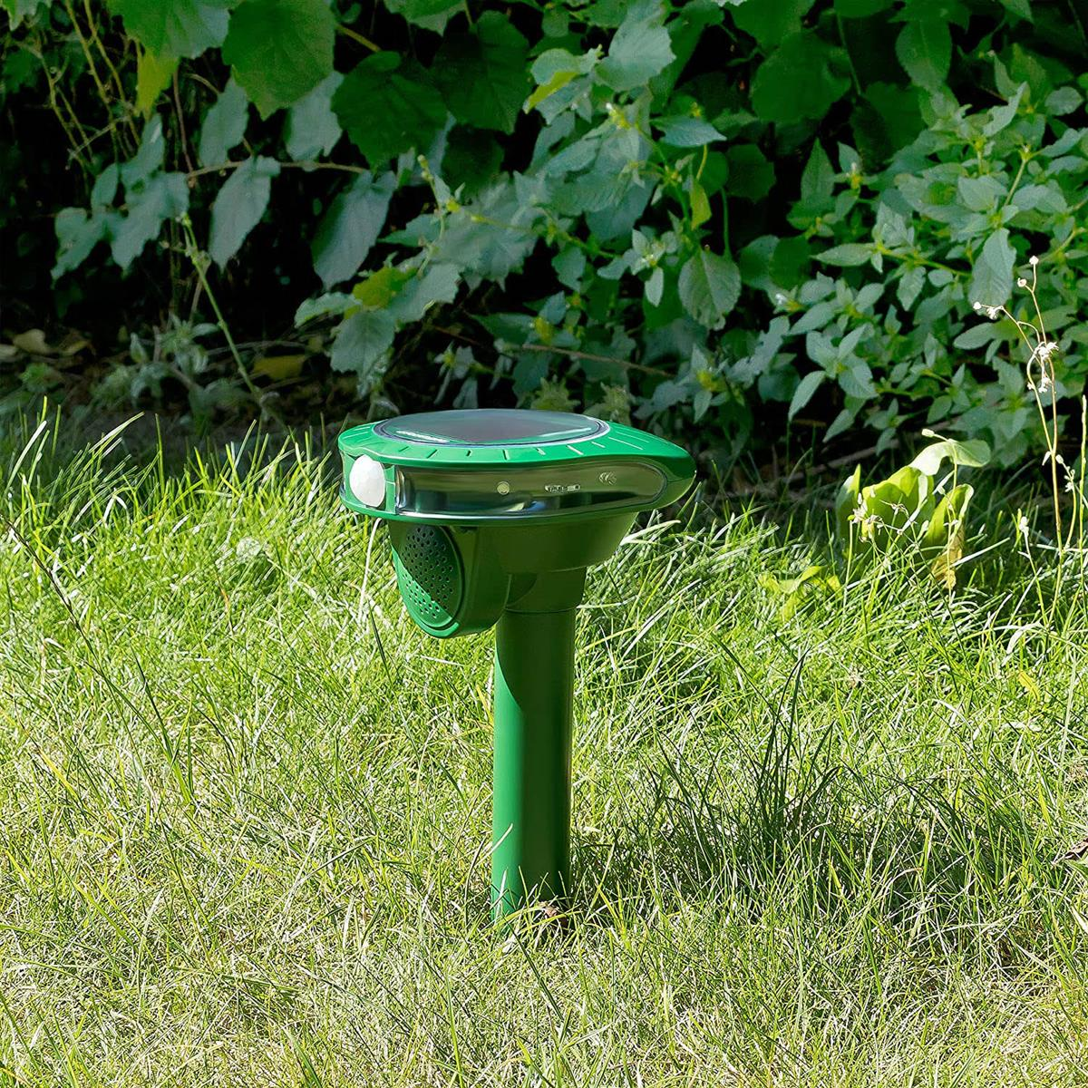 Ein grüner Schädlingsbekämpfer in einem grasbewachsenen Bereich, umgeben von grünem Laub.