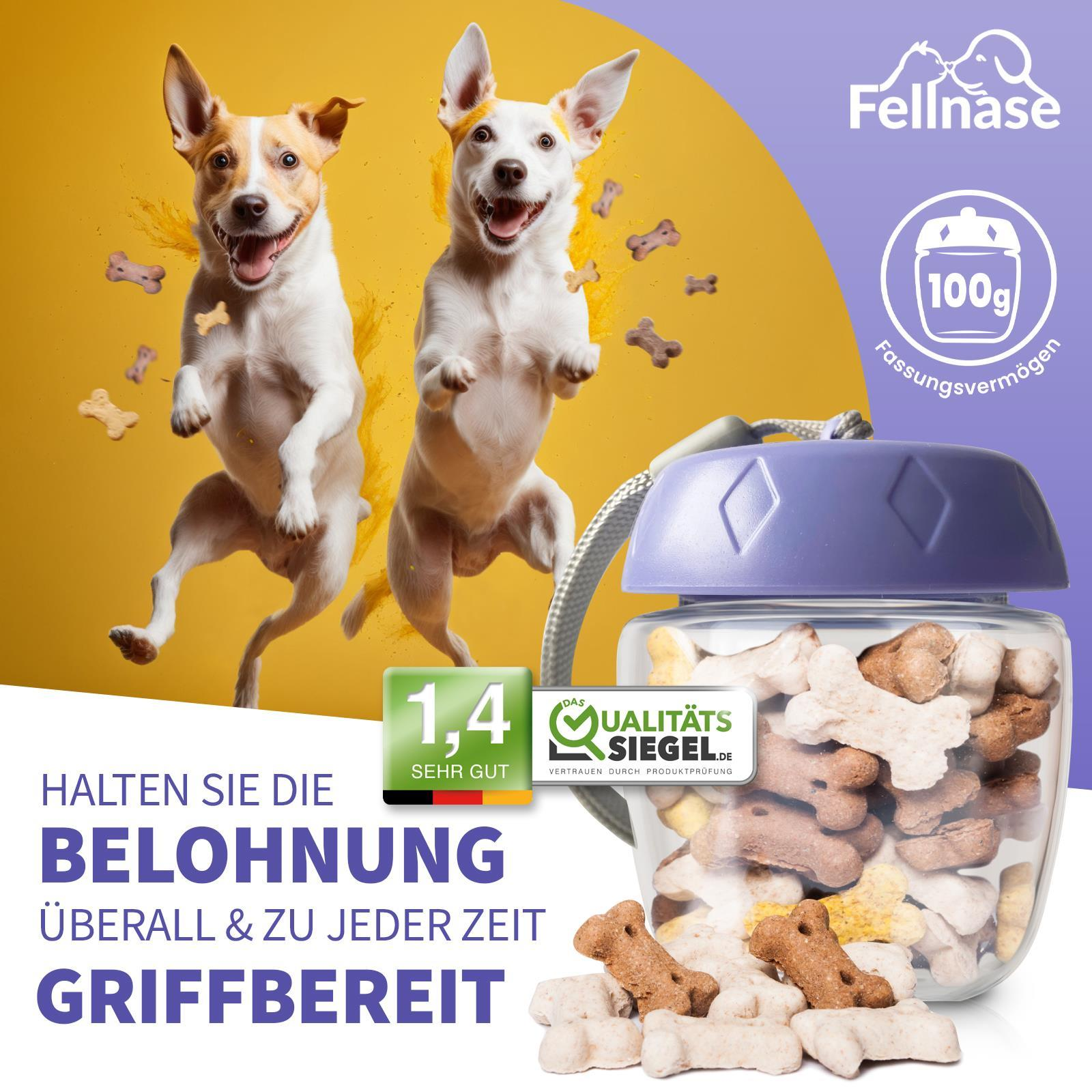 Zwei Hunde springen mit Leckerlis-Glas. Glas hat Leckerlis und einen lila Deckel. Gelber Hintergrund.