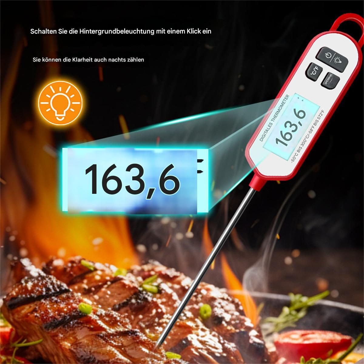 Digitales Thermometer mit Anzeige von 163,6. Ein Stück gegrilltes Fleisch ist im Hintergrund.