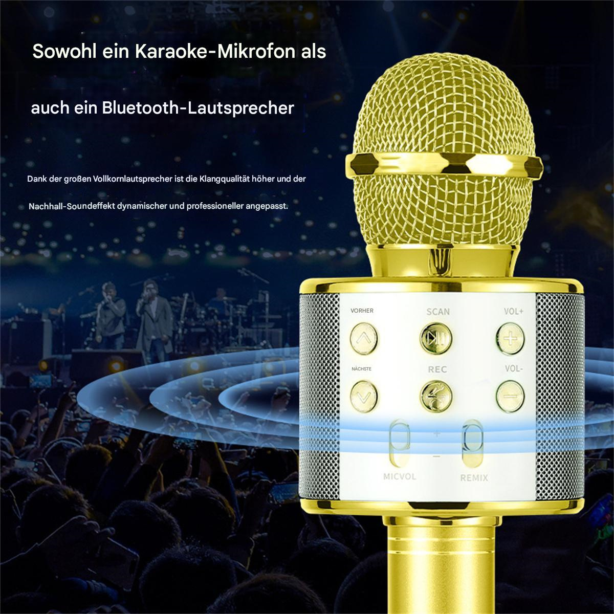 Goldenes Mikrofon. Der Hintergrund ist eine Menschenmenge.